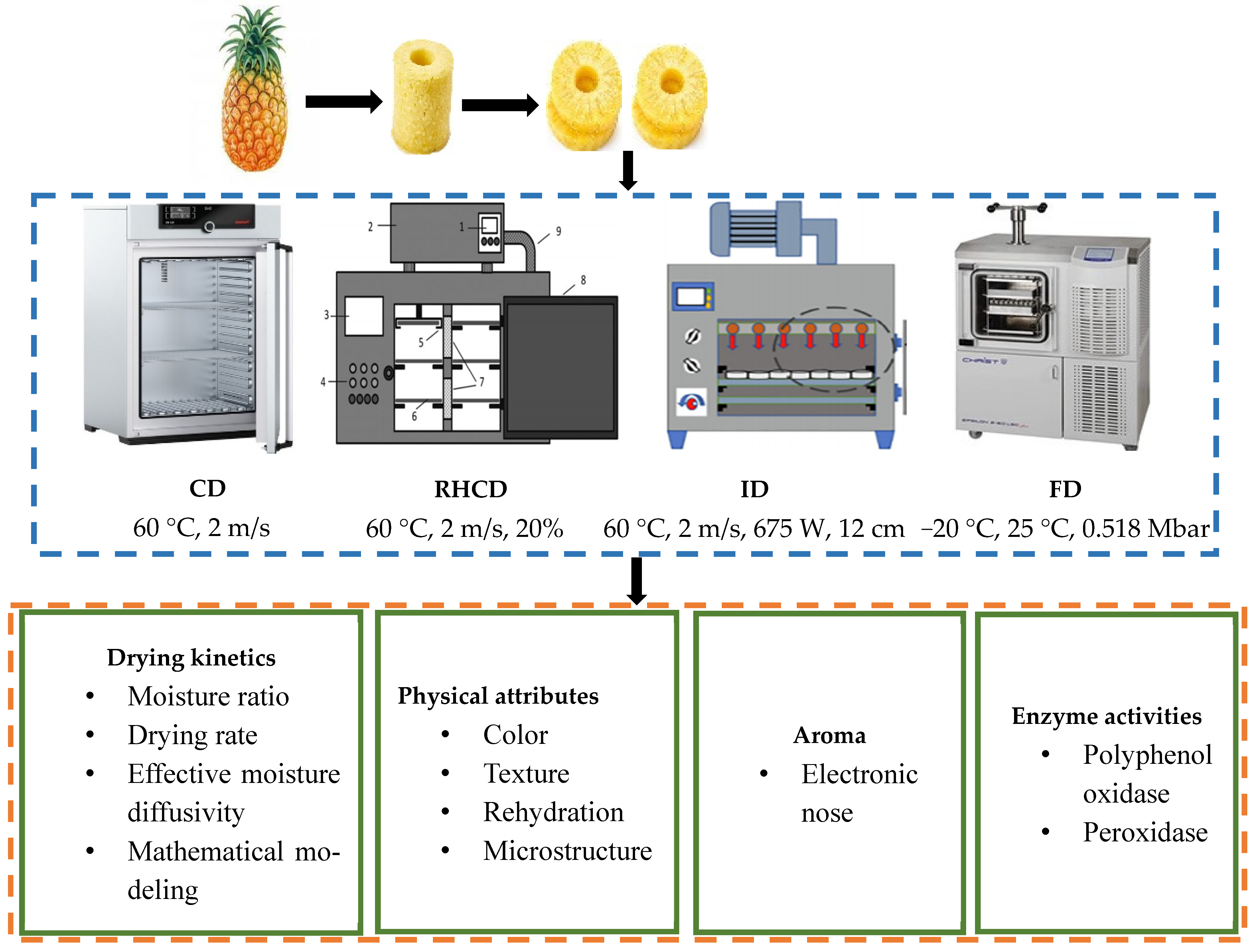 Sustainability 15 15906 g001