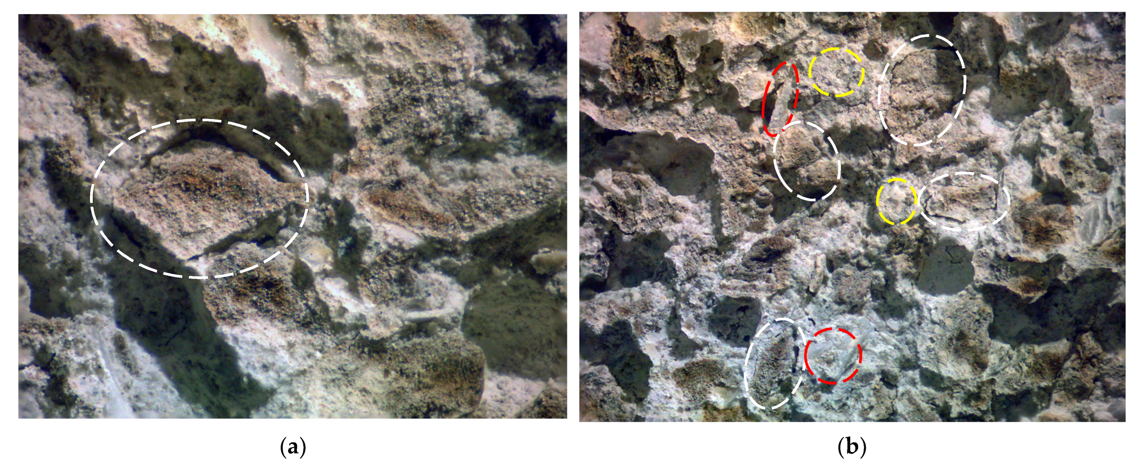 Sustainability 15 15952 g007