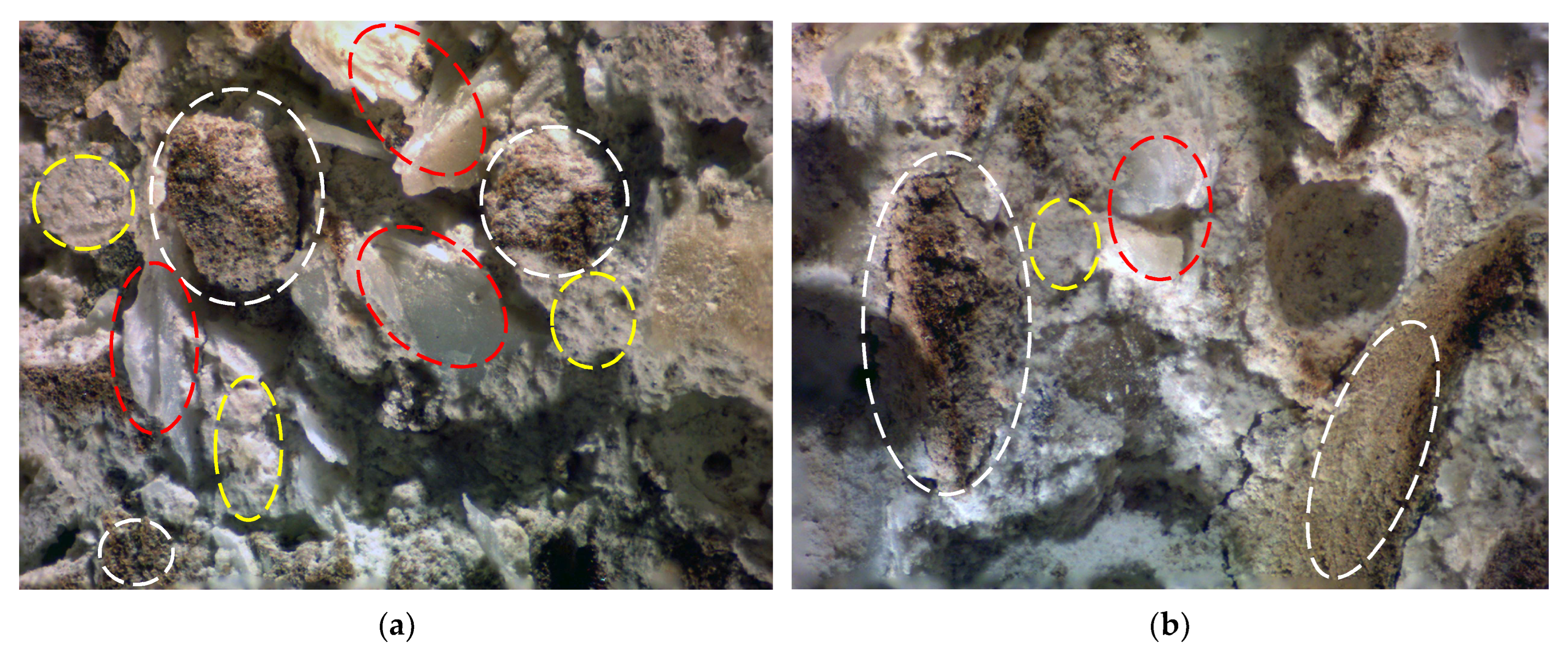 Sustainability 15 15952 g008