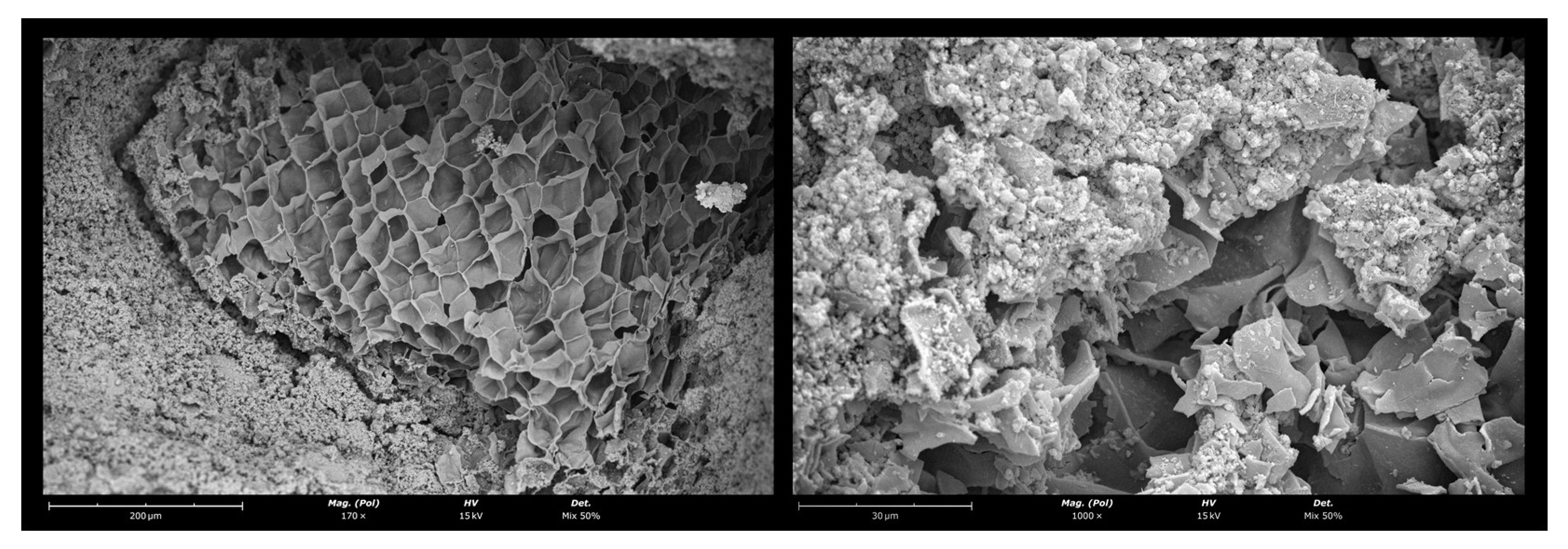 Sustainability 15 15952 g009