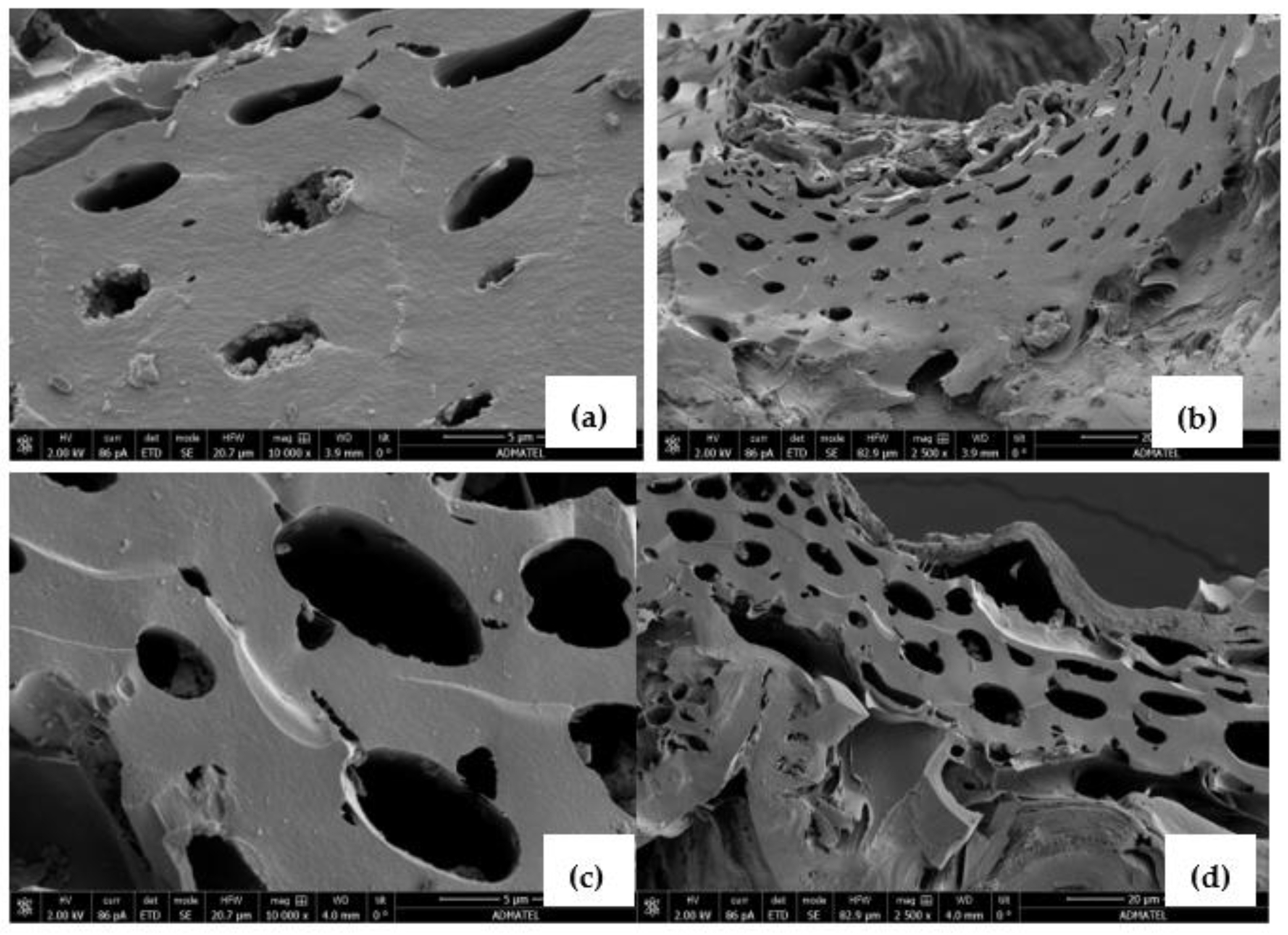 Sustainability 15 15955 g001
