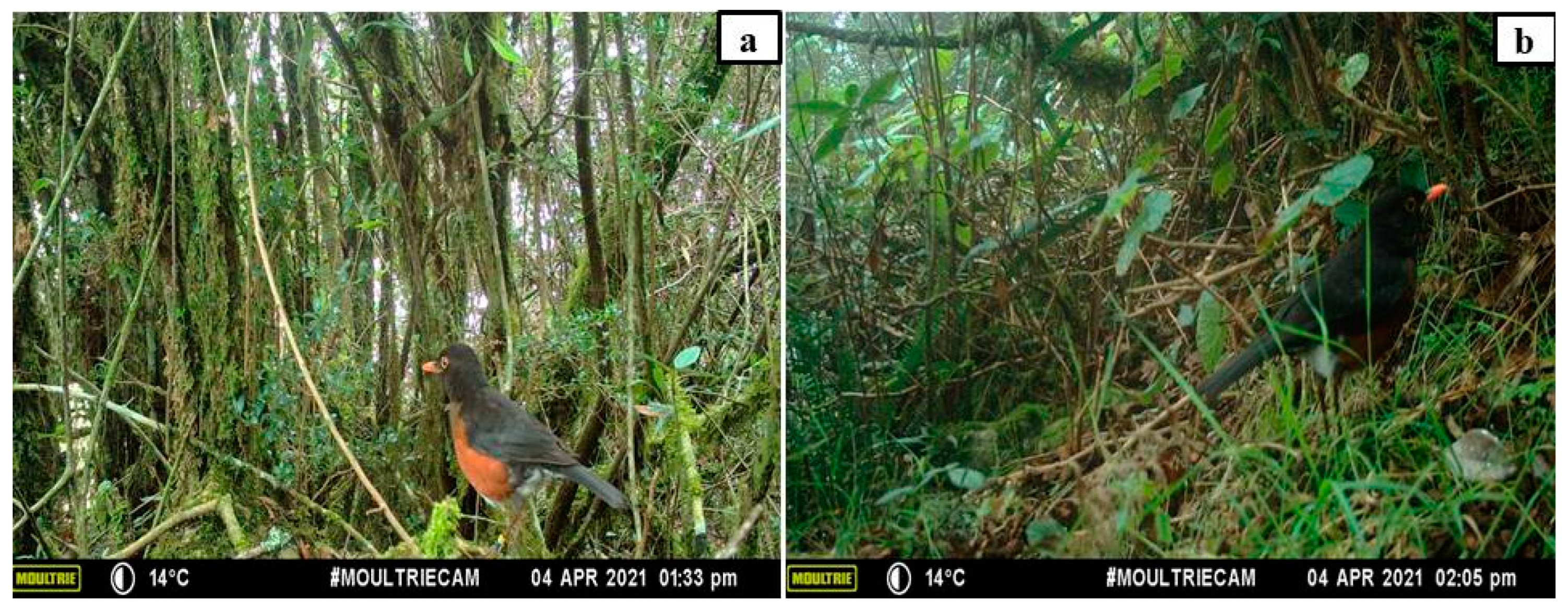 Sustainability 15 16035 g001 Sustainability 15 16035 g001