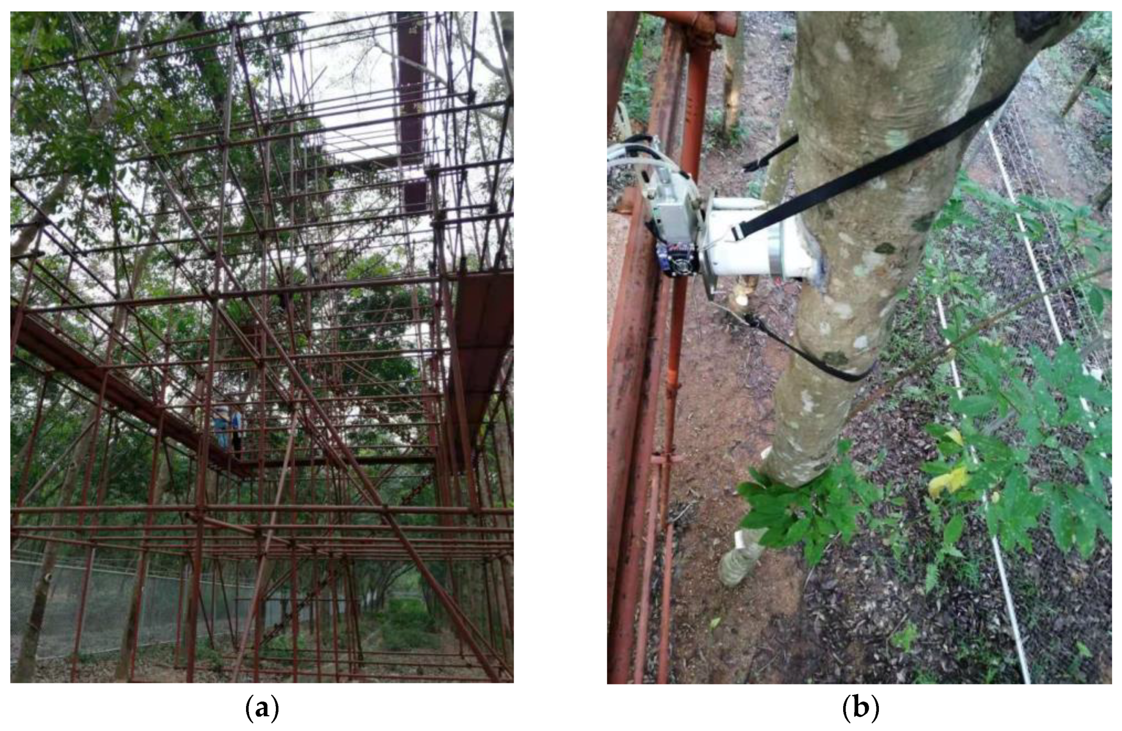 Sustainability 15 16050 g002