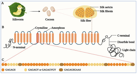 Novel Applications of Silk Proteins Based on Their