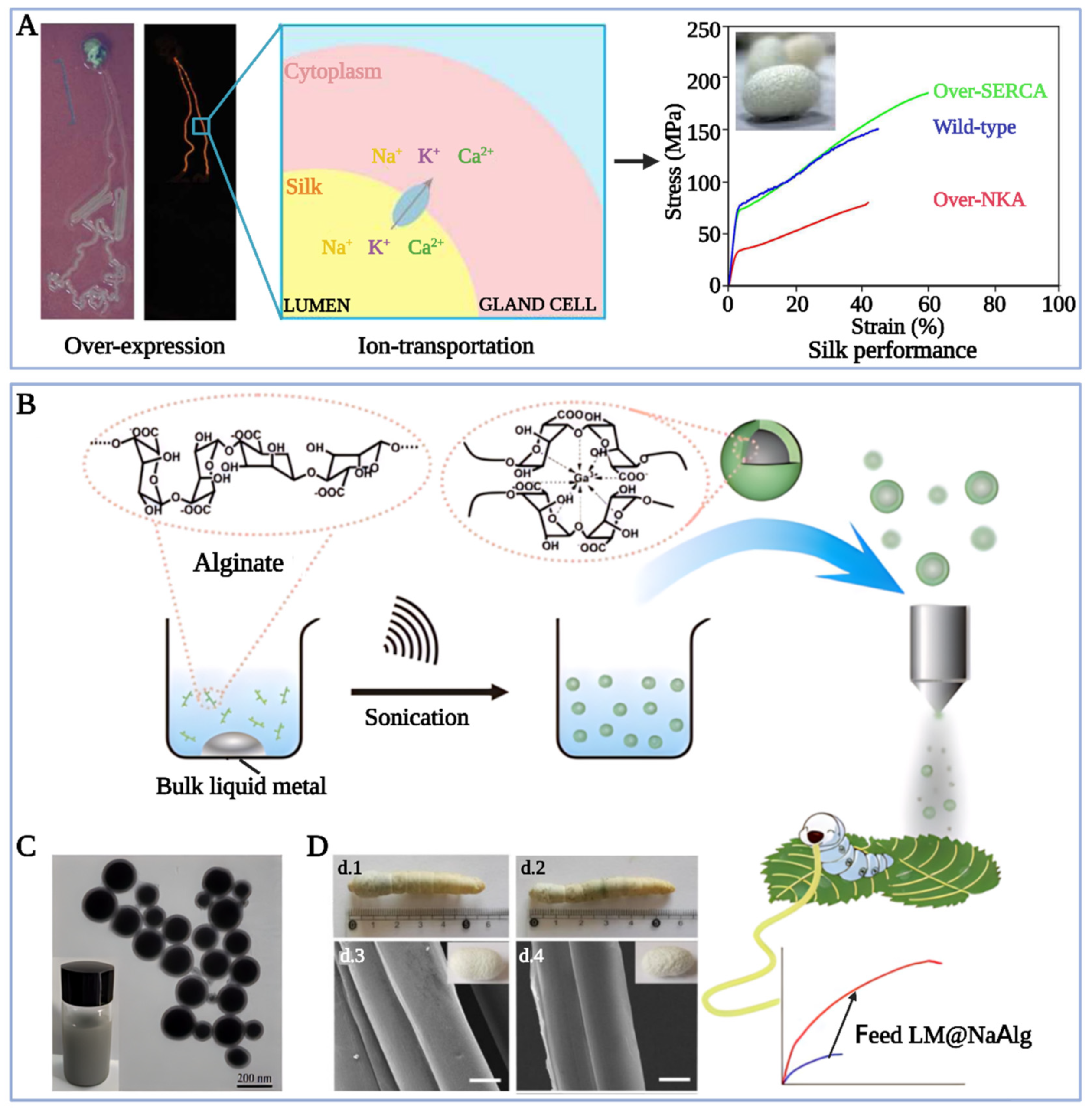 Sustainability 15 16053 g004