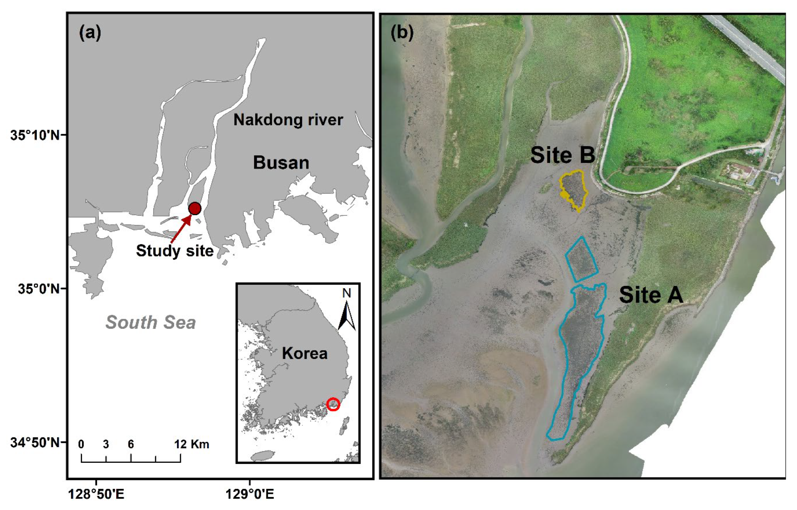 Sustainability 15 16065 g001 Sustainability 15 16065 g001