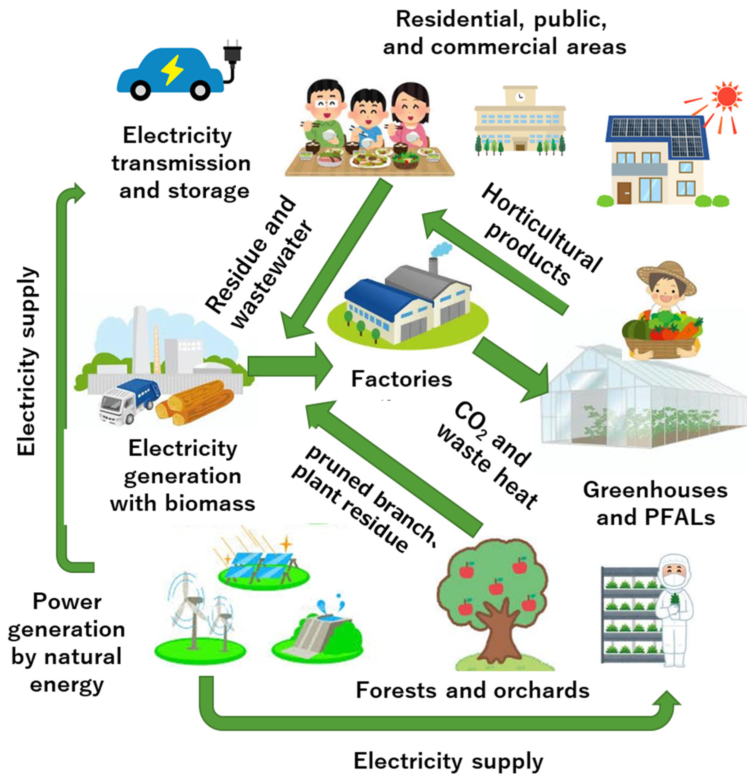 Sustainability 15 16066 g006