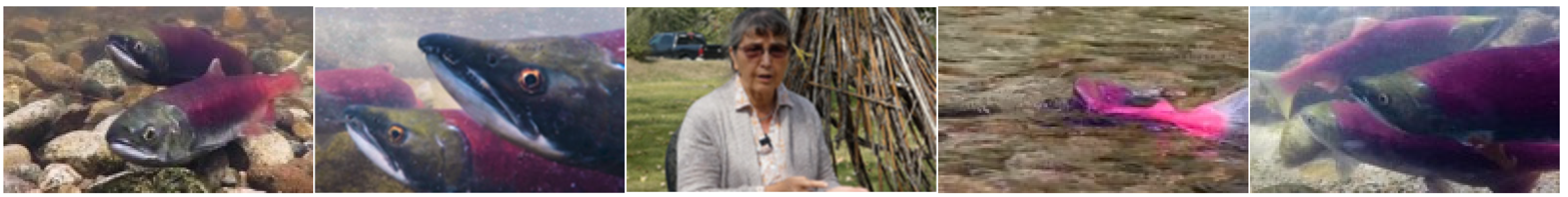 Sustainability 15 16109 g005