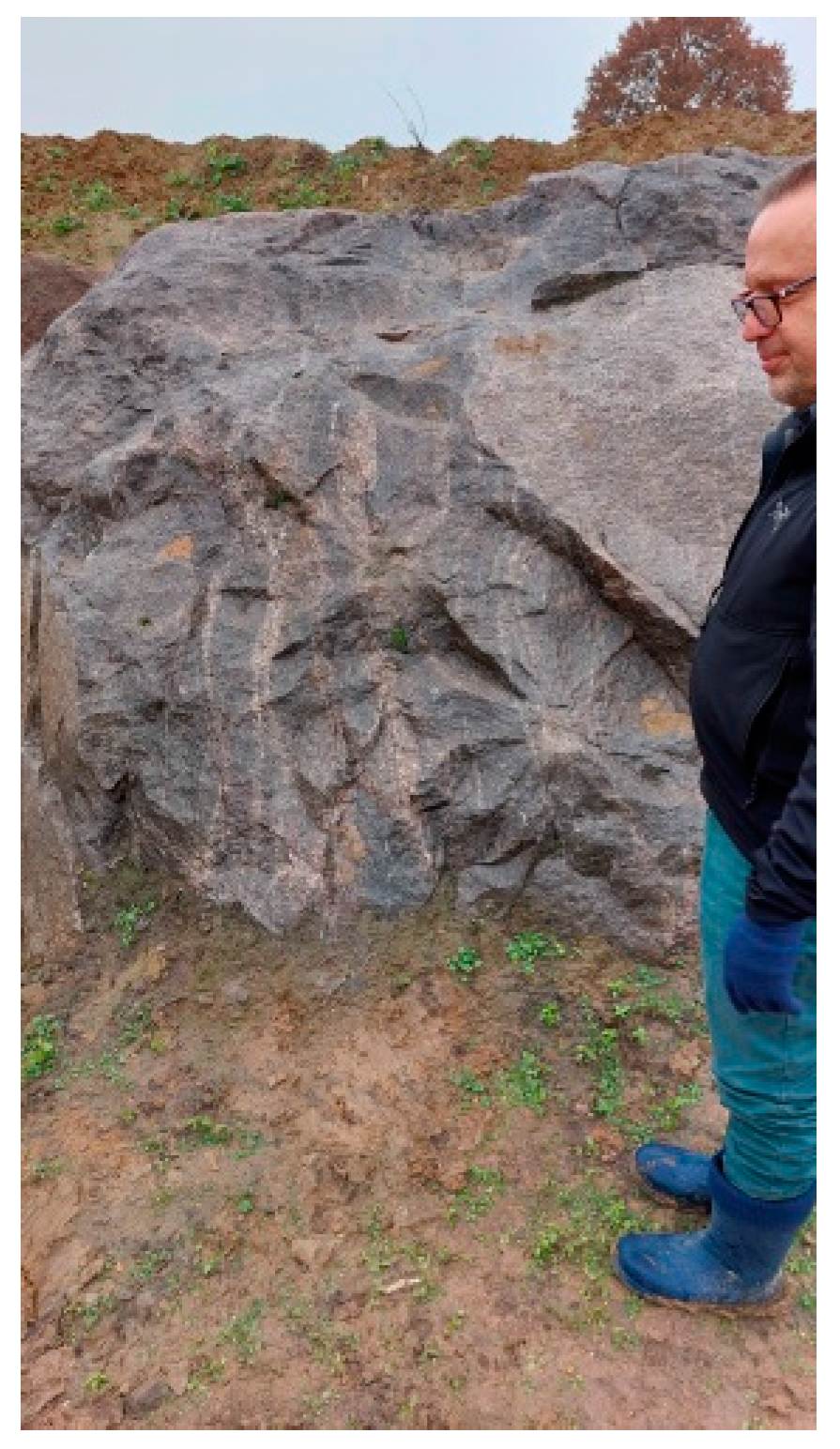 Sustainability 15 16115 g003