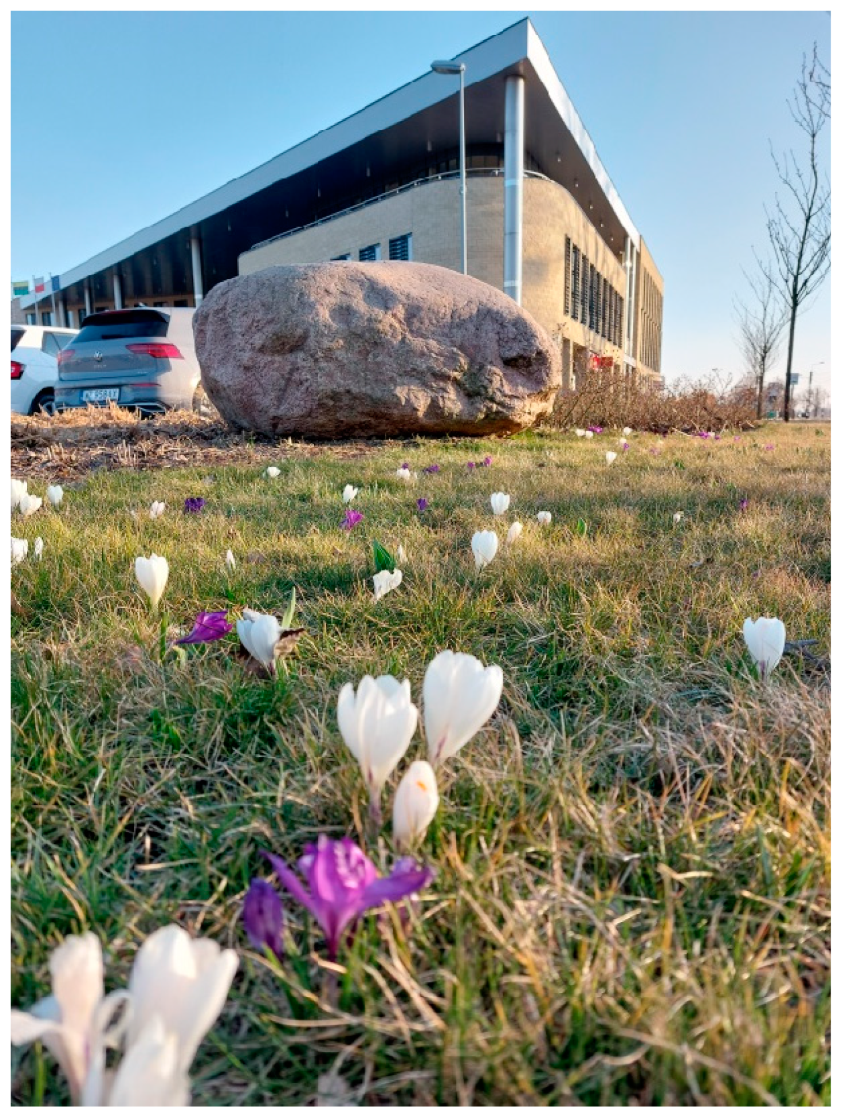 Sustainability 15 16115 g020