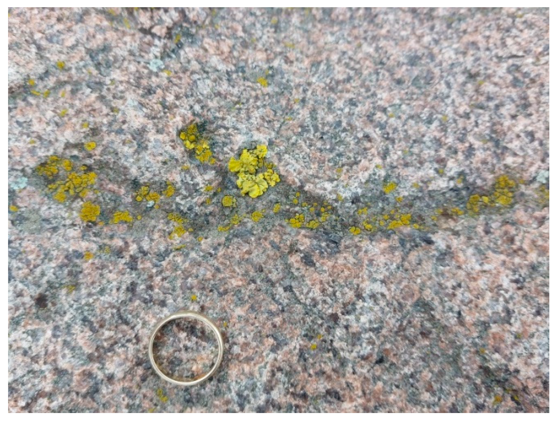 Sustainability 15 16115 g024