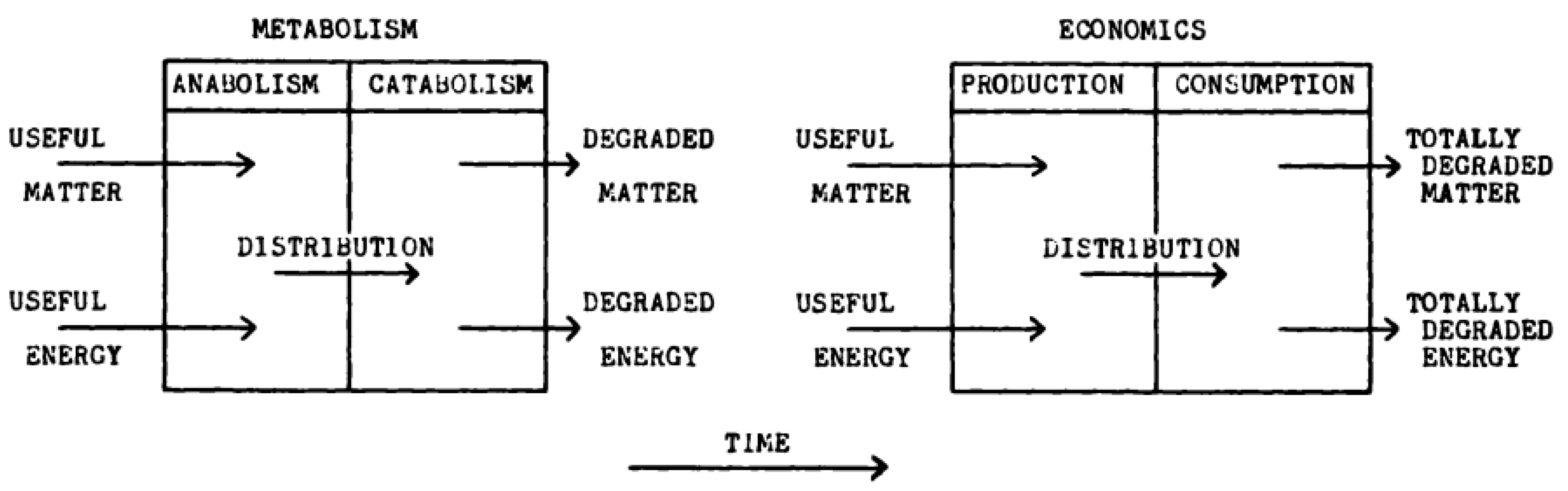 Sustainability 15 16143 g004