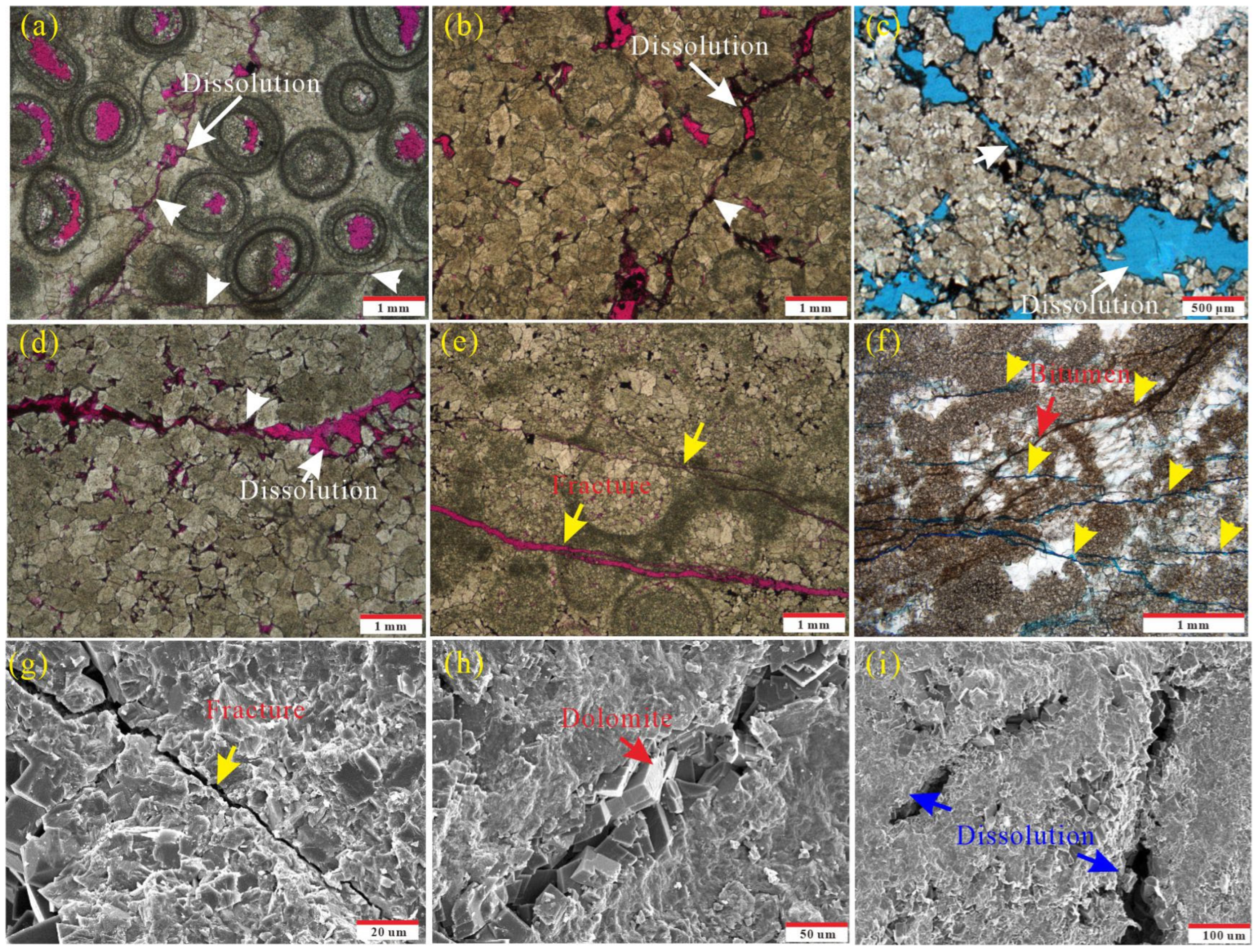 Sustainability 15 16155 g005