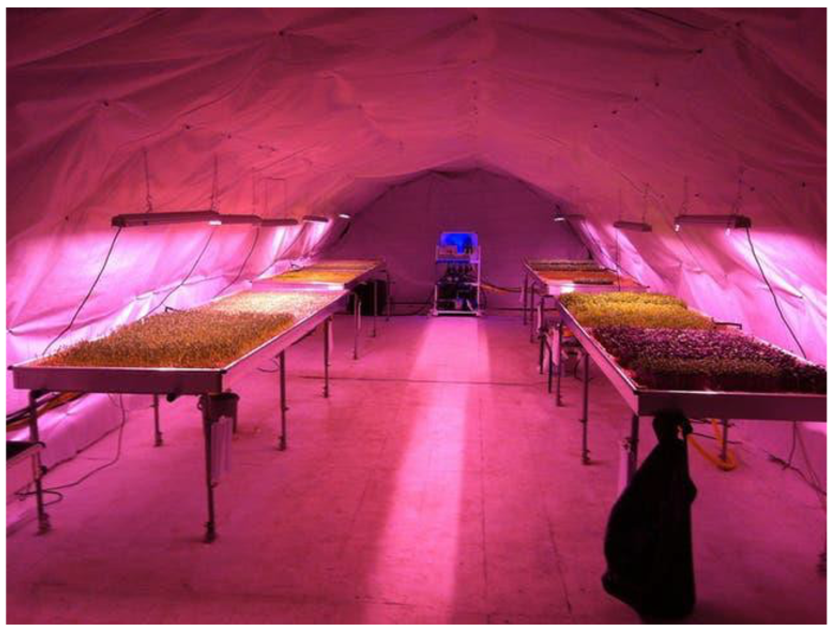 Sustainability 15 16176 g002 Sustainability 15 16176 g002