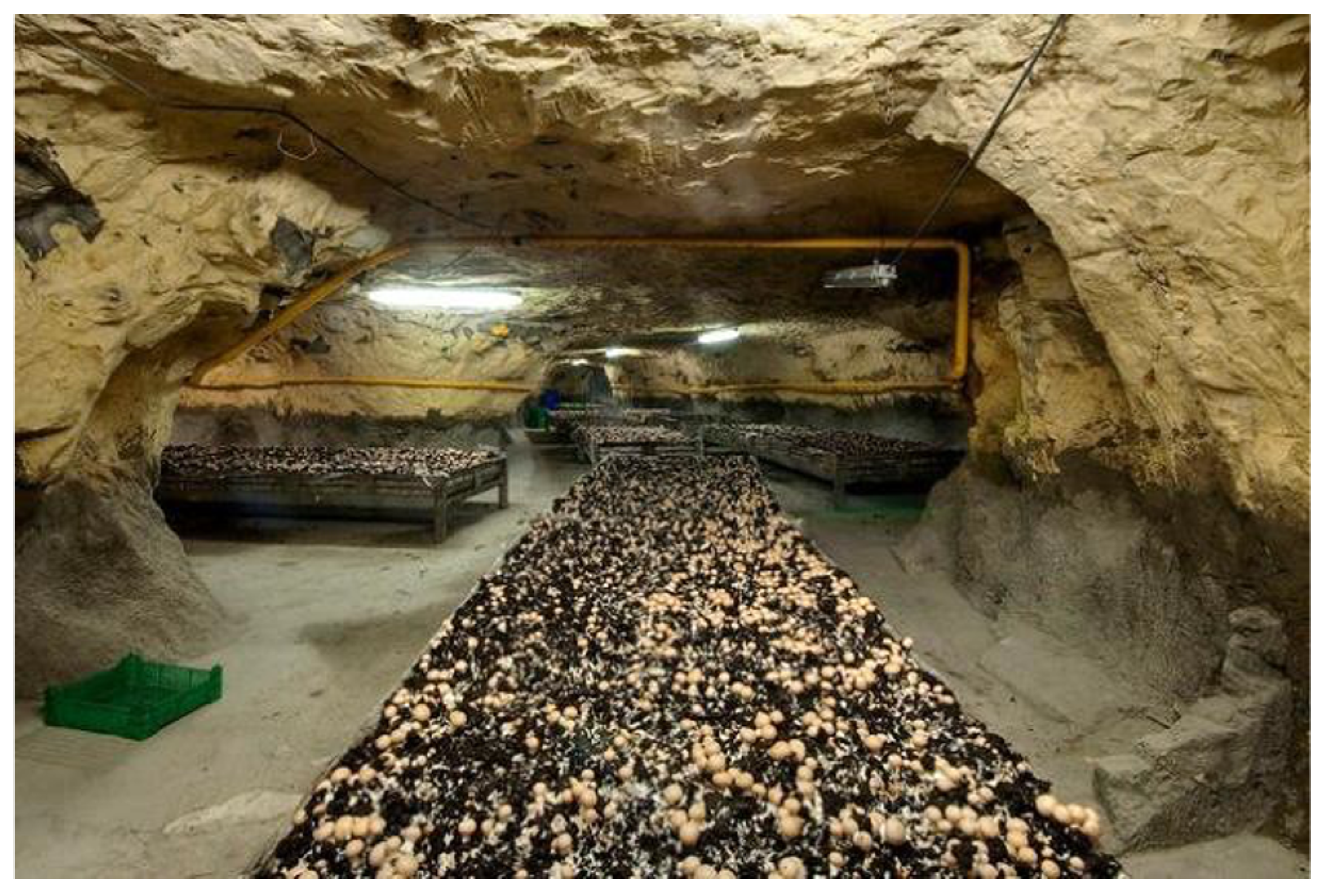 Sustainability 15 16176 g032 Sustainability 15 16176 g032