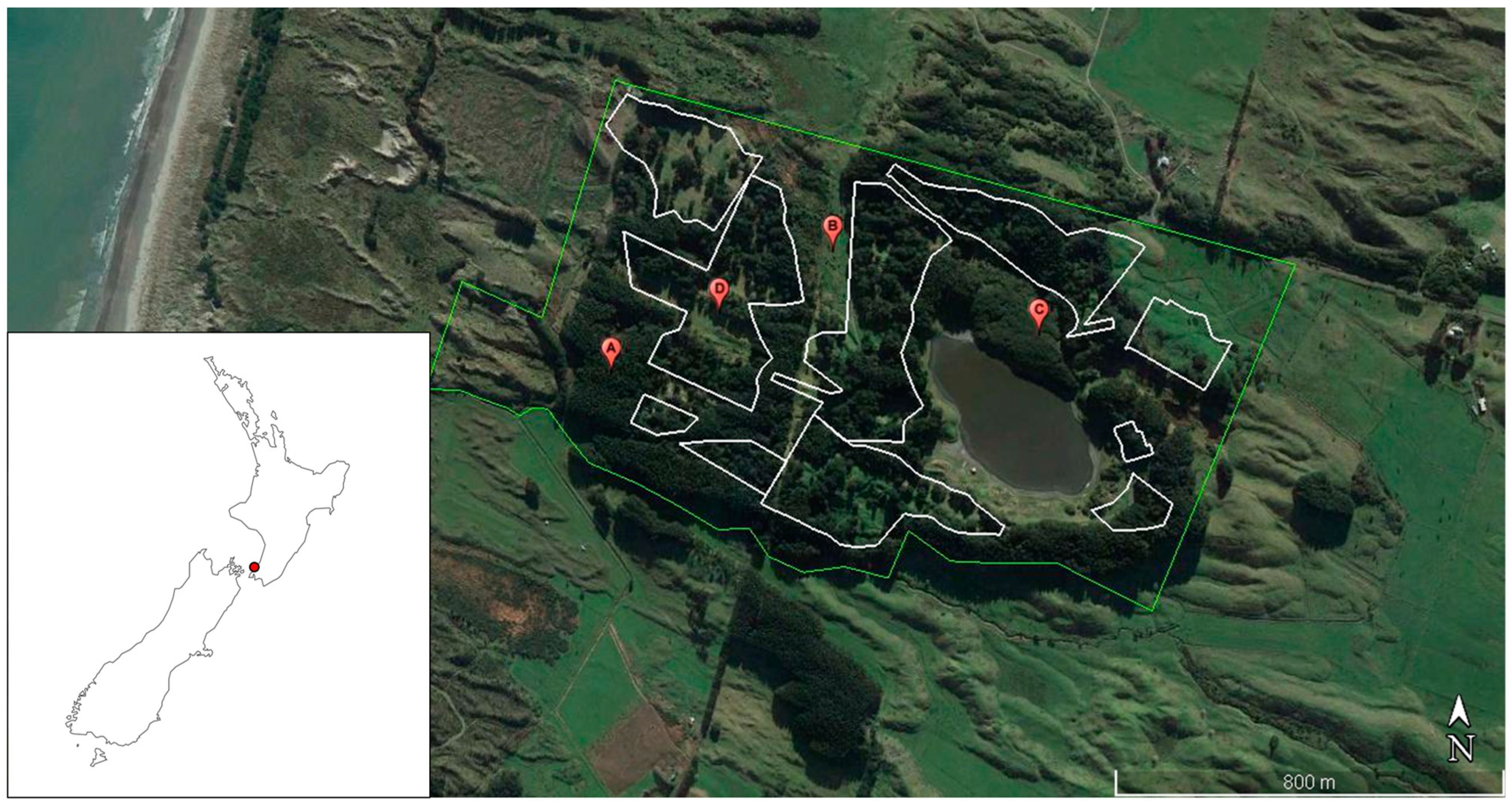 Sustainability 15 16230 g001