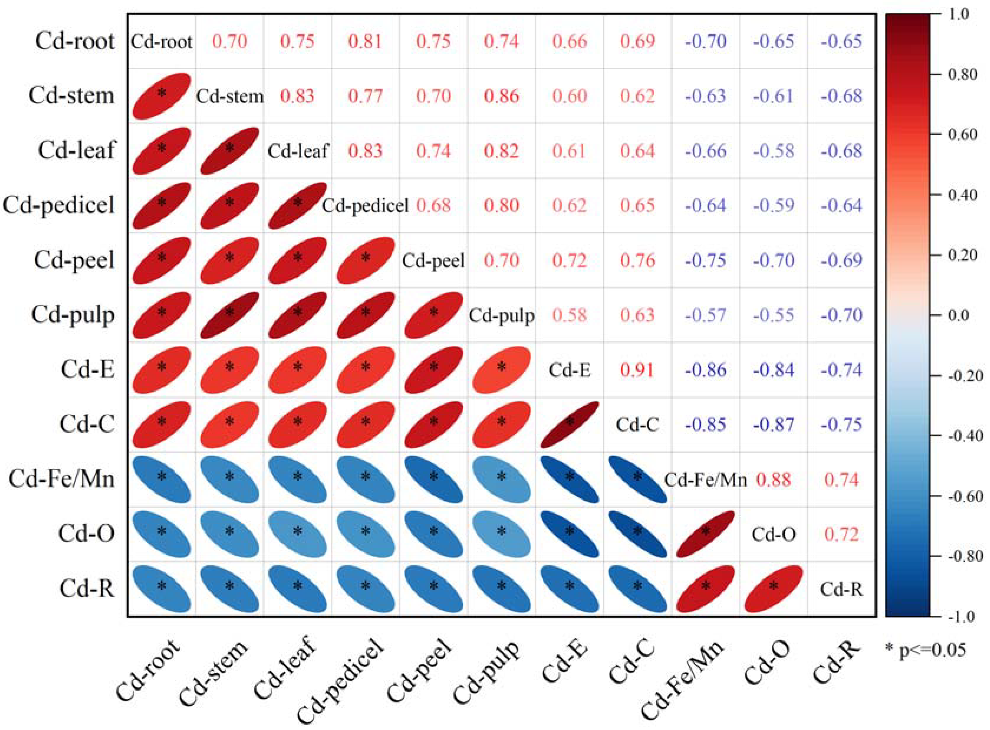 Sustainability 15 16236 g005