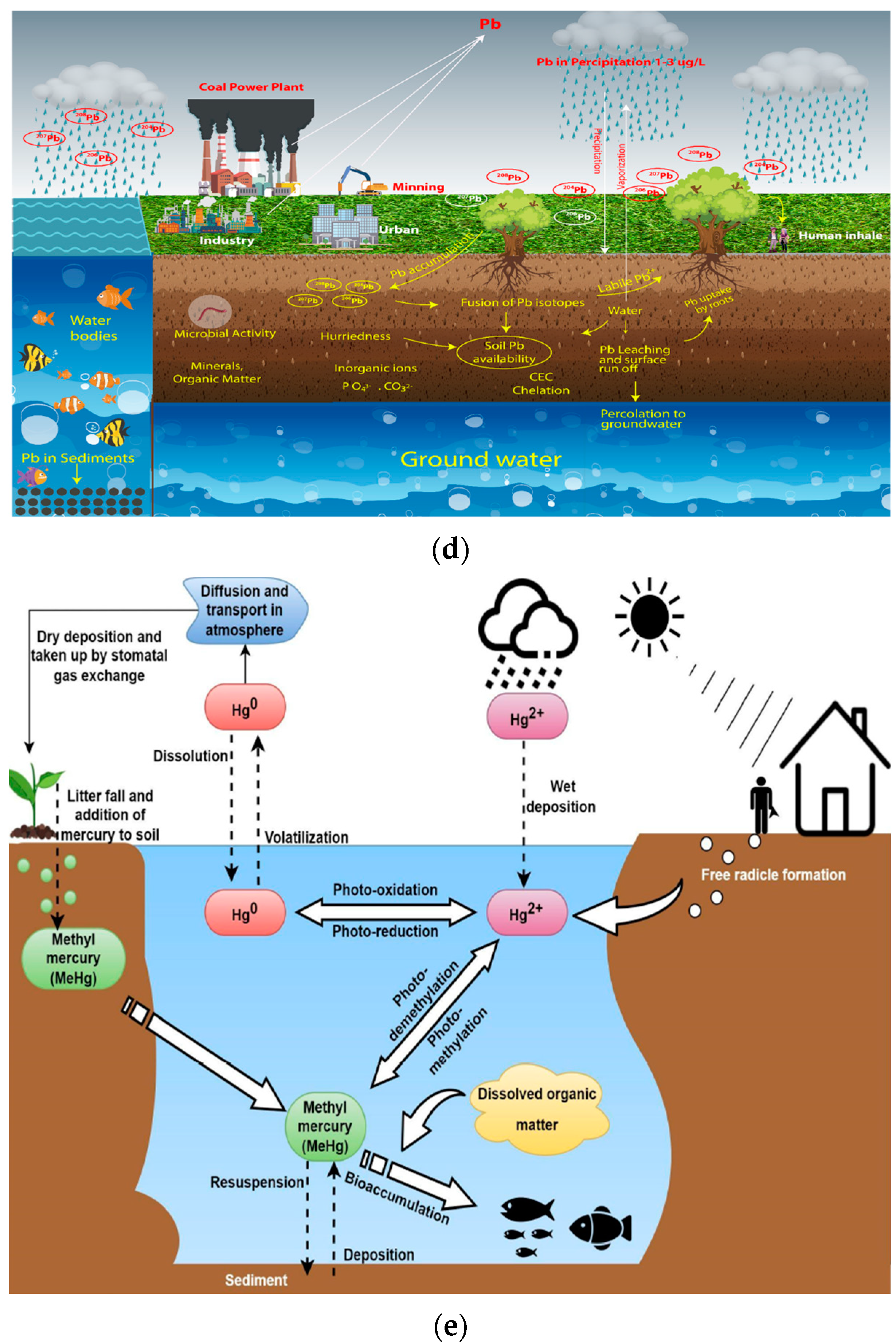 Sustainability 15 16242 g002b