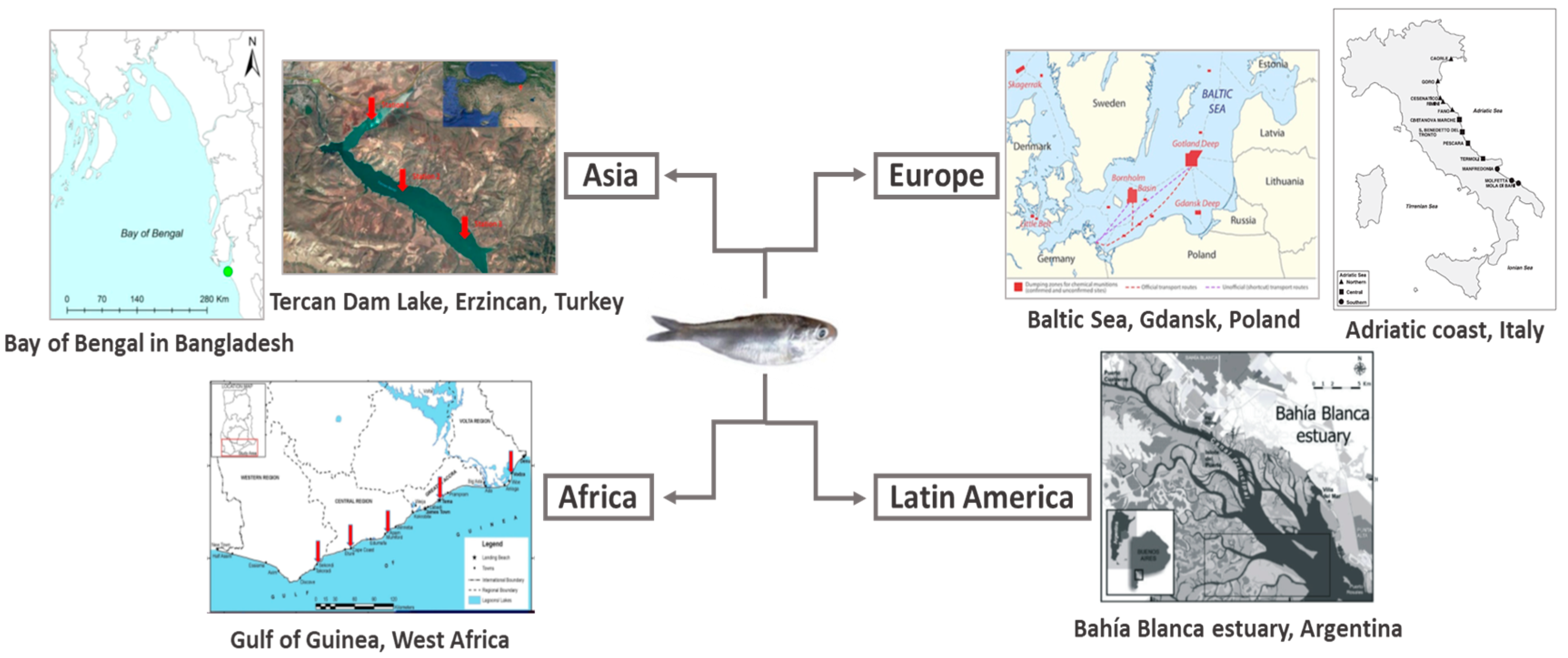 Sustainability 15 16242 g005