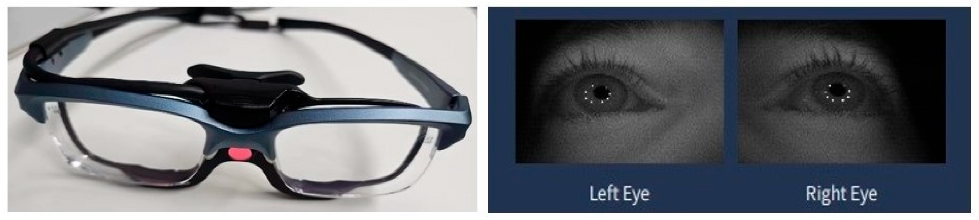 Sustainability 15 16247 g002