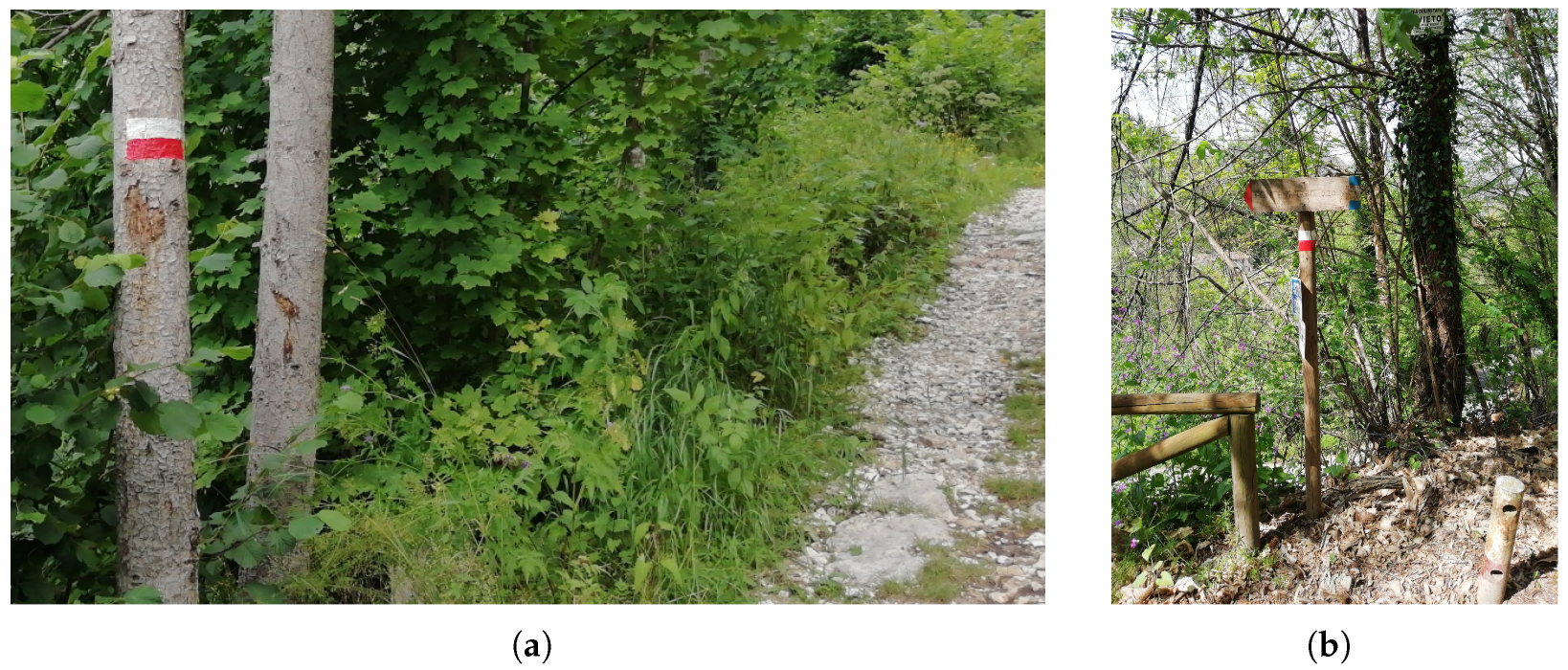 Sustainability 15 16251 g001