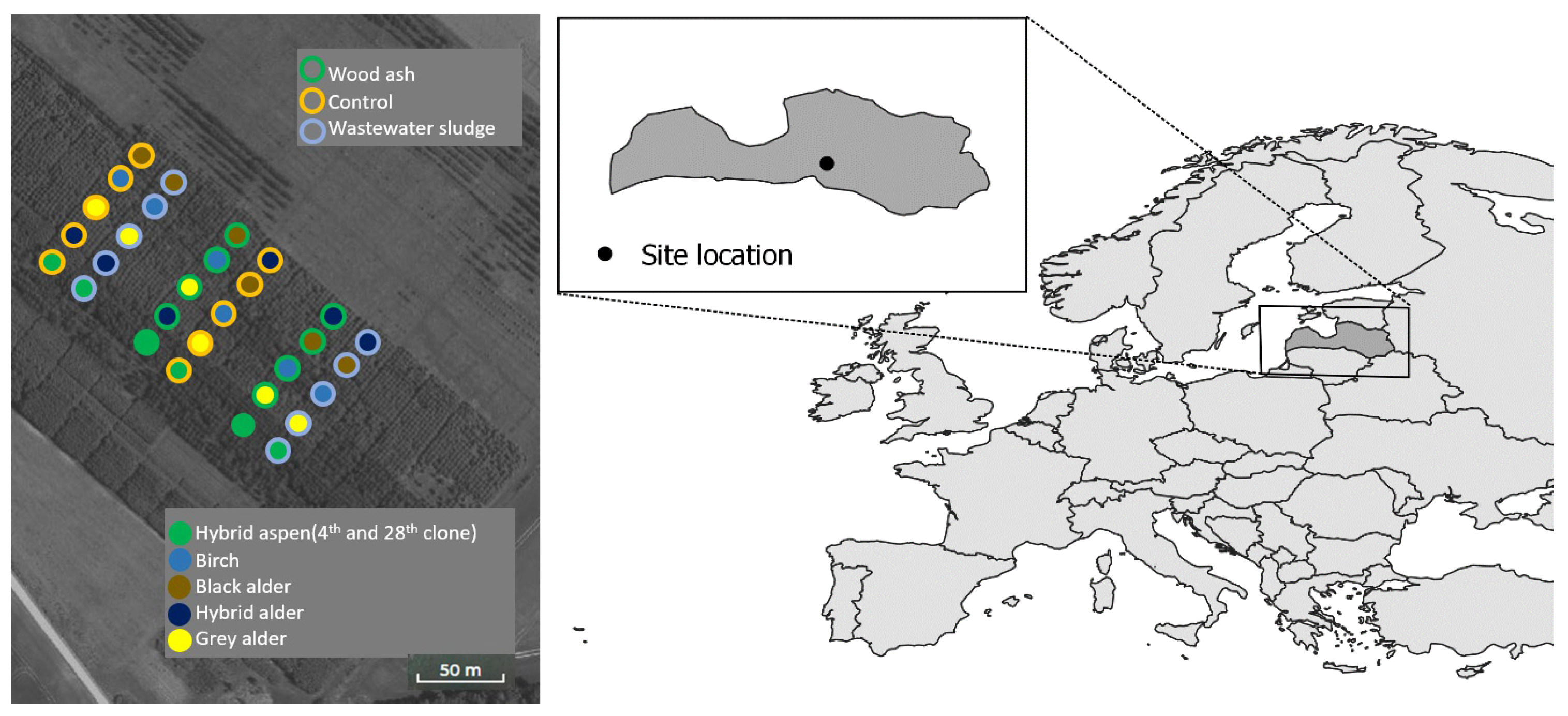 Sustainability 15 16272 g001 Sustainability 15 16272 g001