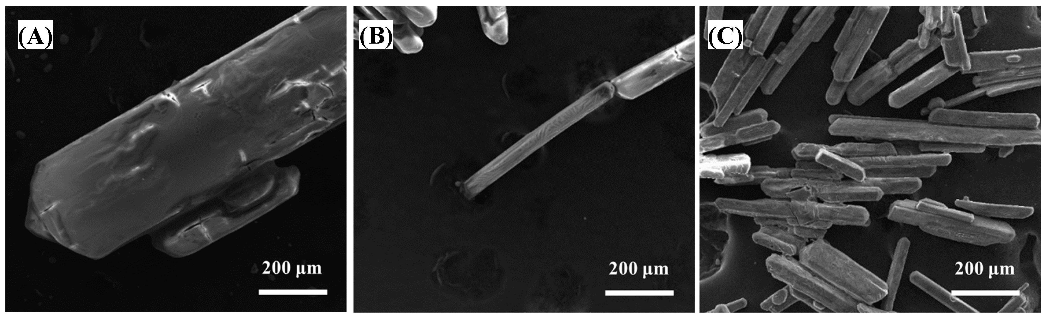 Sustainability 15 16275 g003