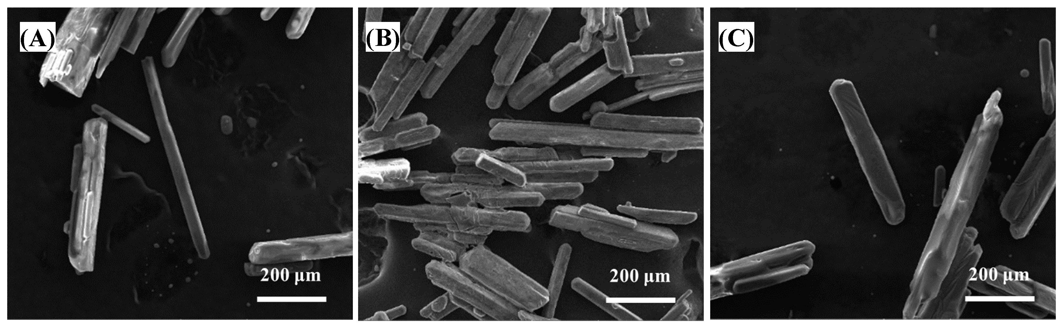 Sustainability 15 16275 g004