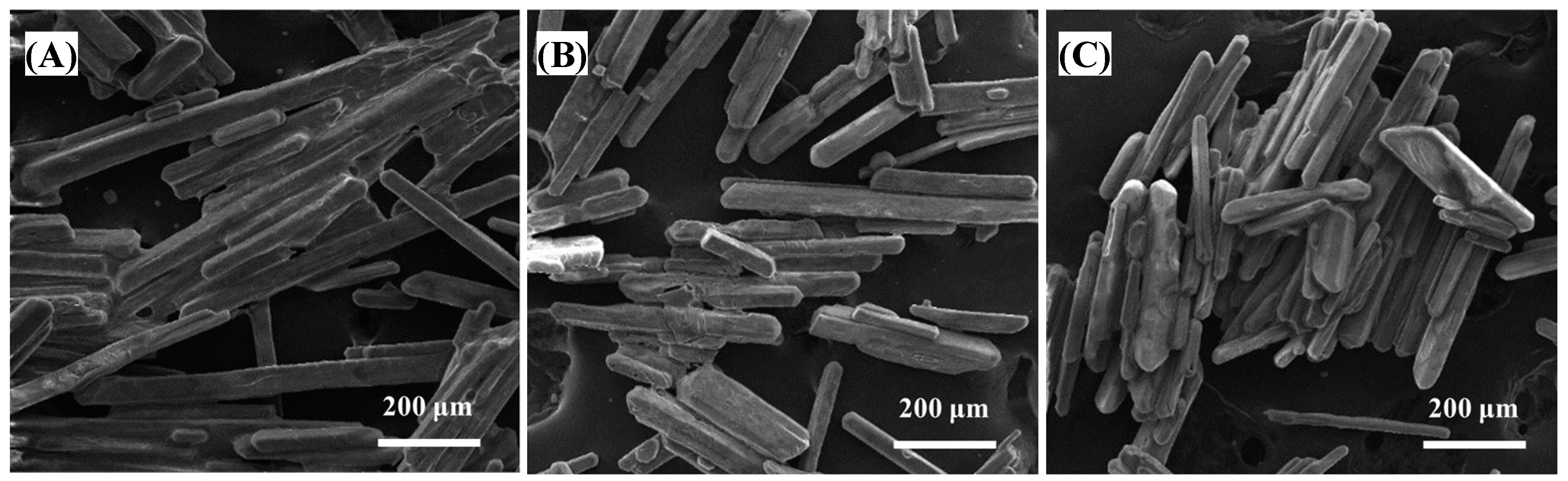 Sustainability 15 16275 g006