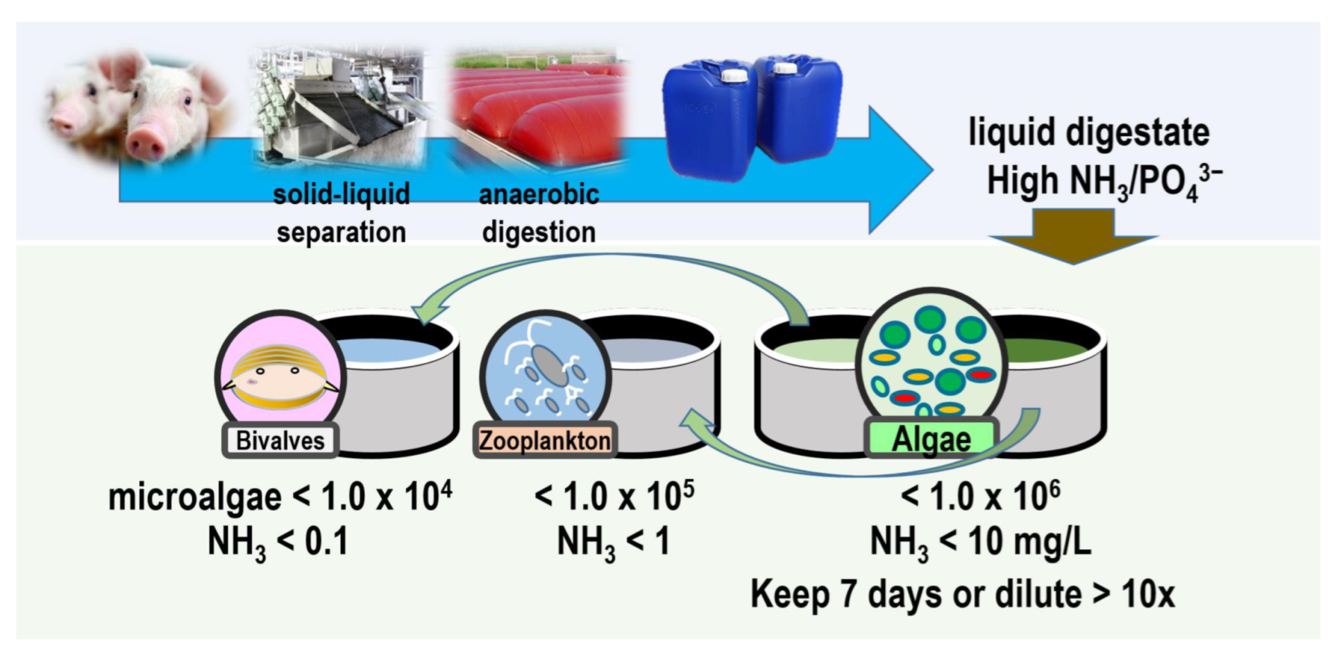 Sustainability 15 16278 g008