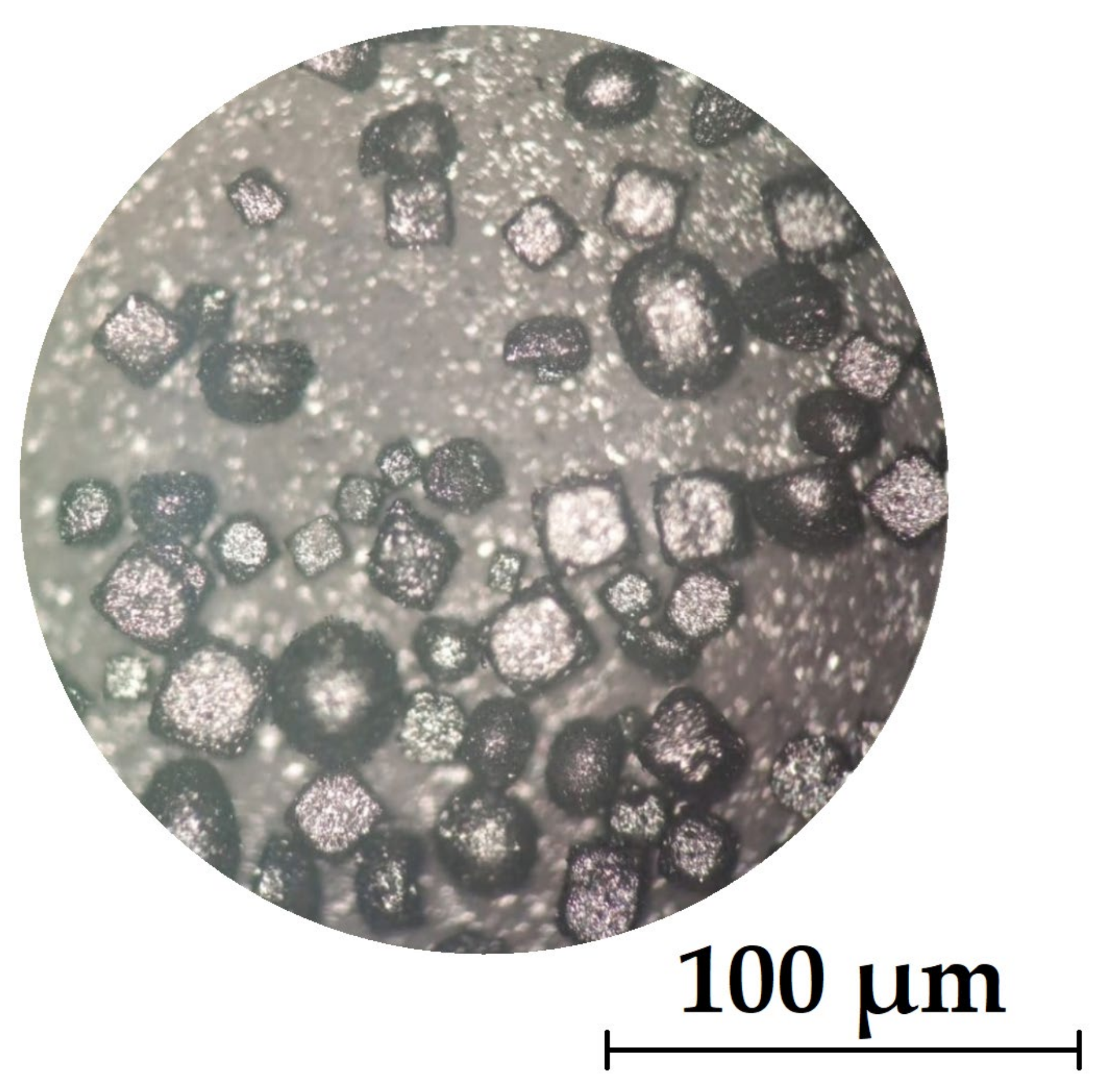 Sustainability 15 16296 g003