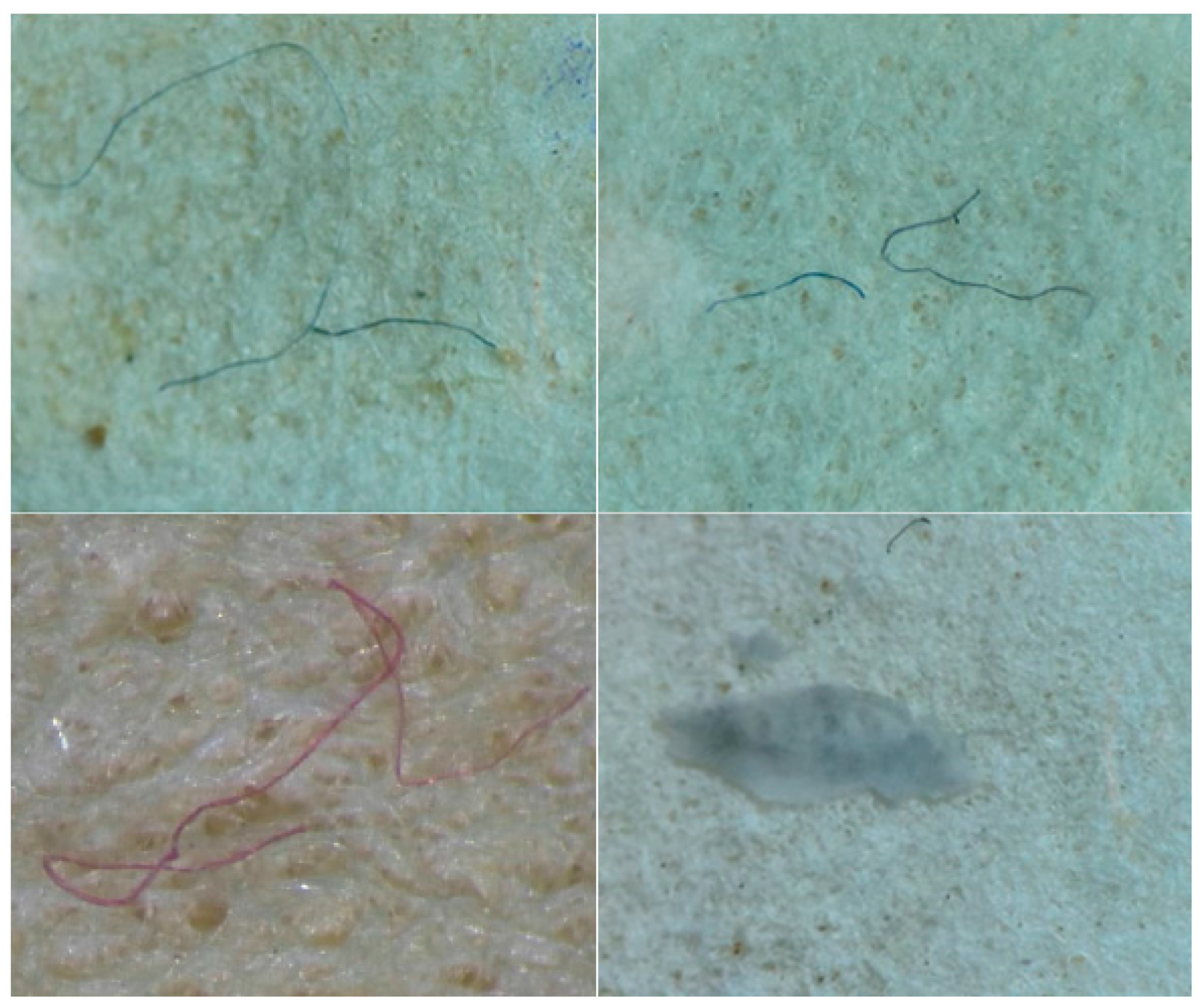 Sustainability 15 16313 g002