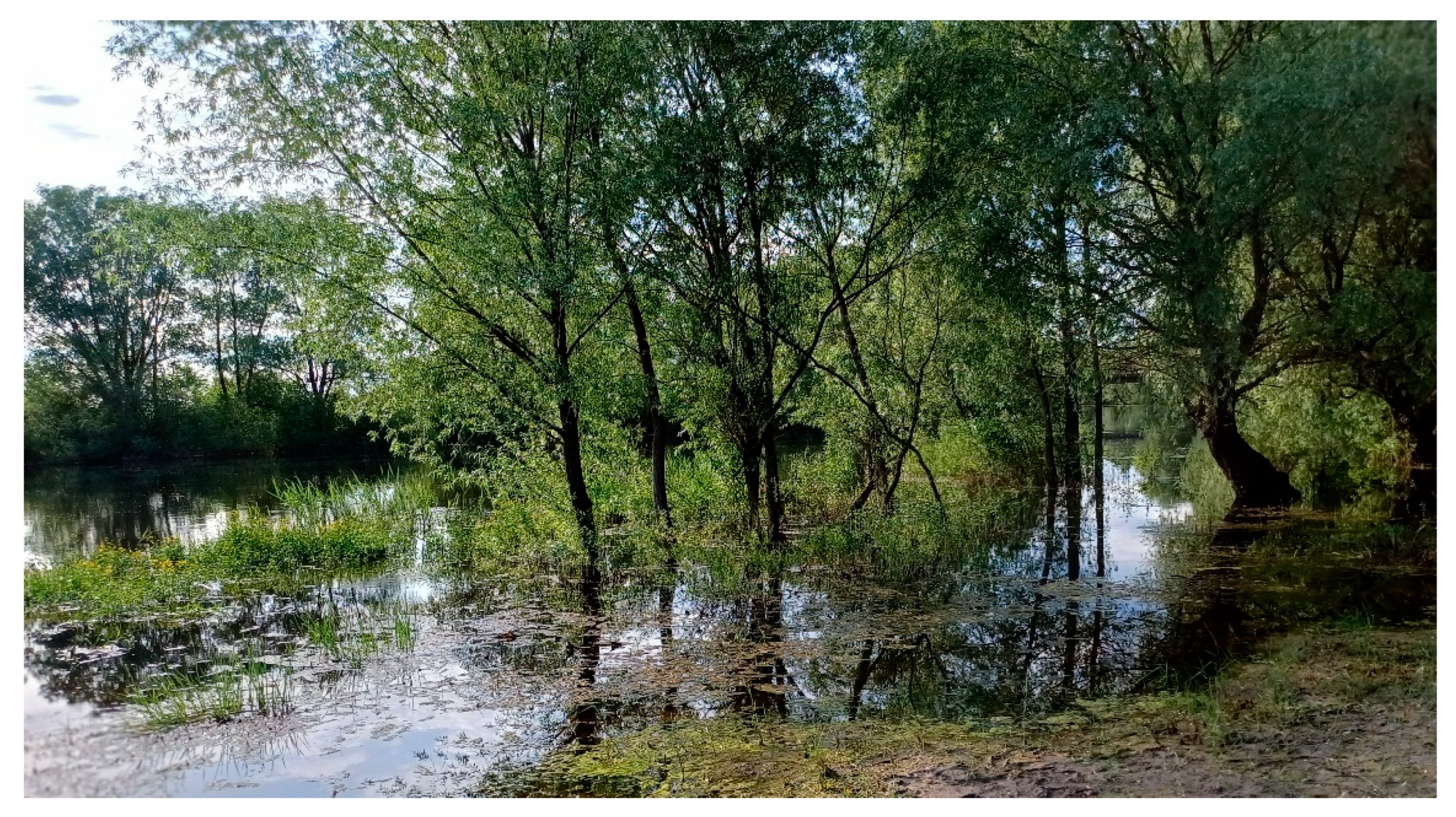 Sustainability 15 16316 g003 Sustainability 15 16316 g003