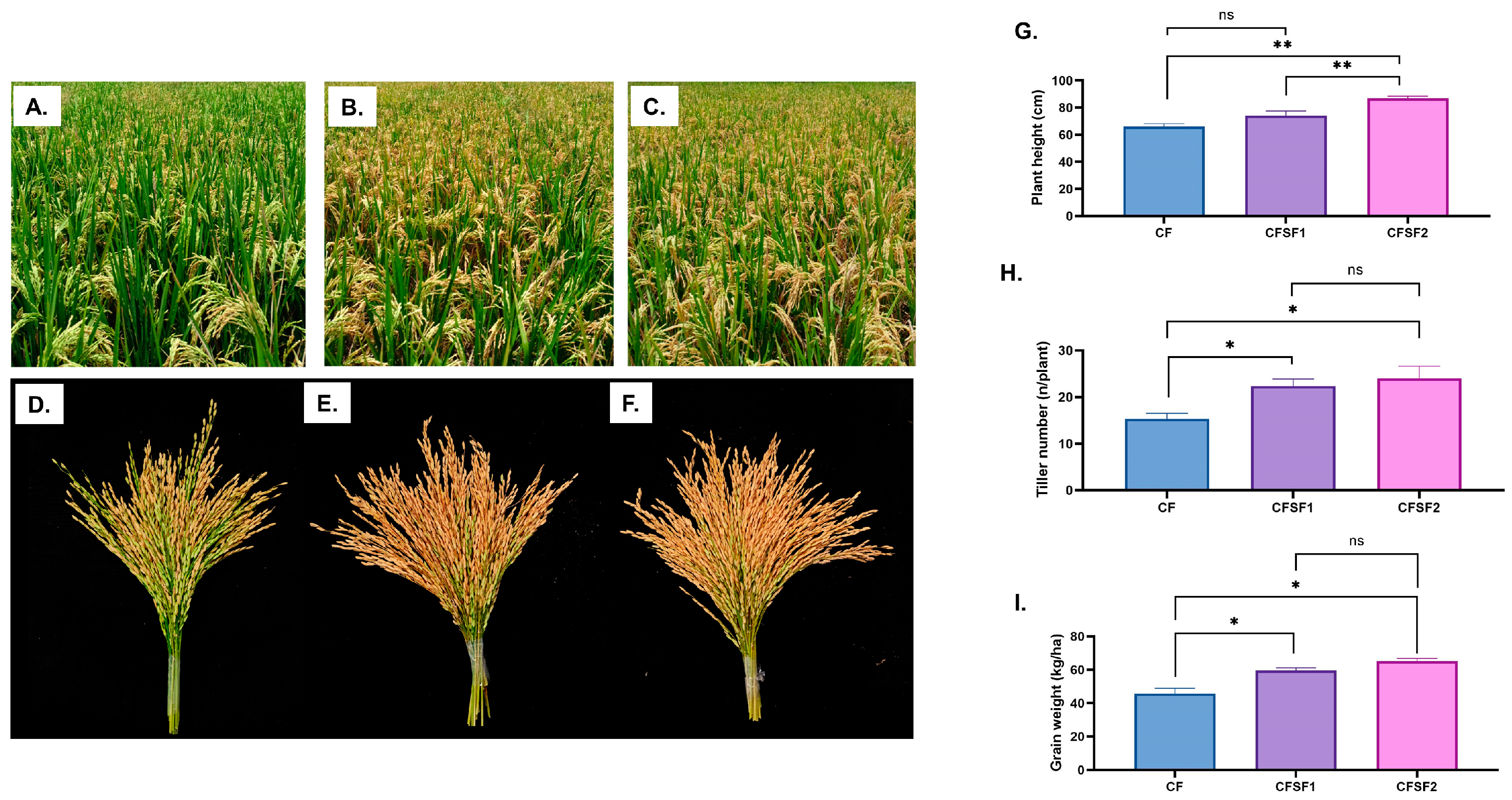 Sustainability 15 16328 g002 Sustainability 15 16328 g002