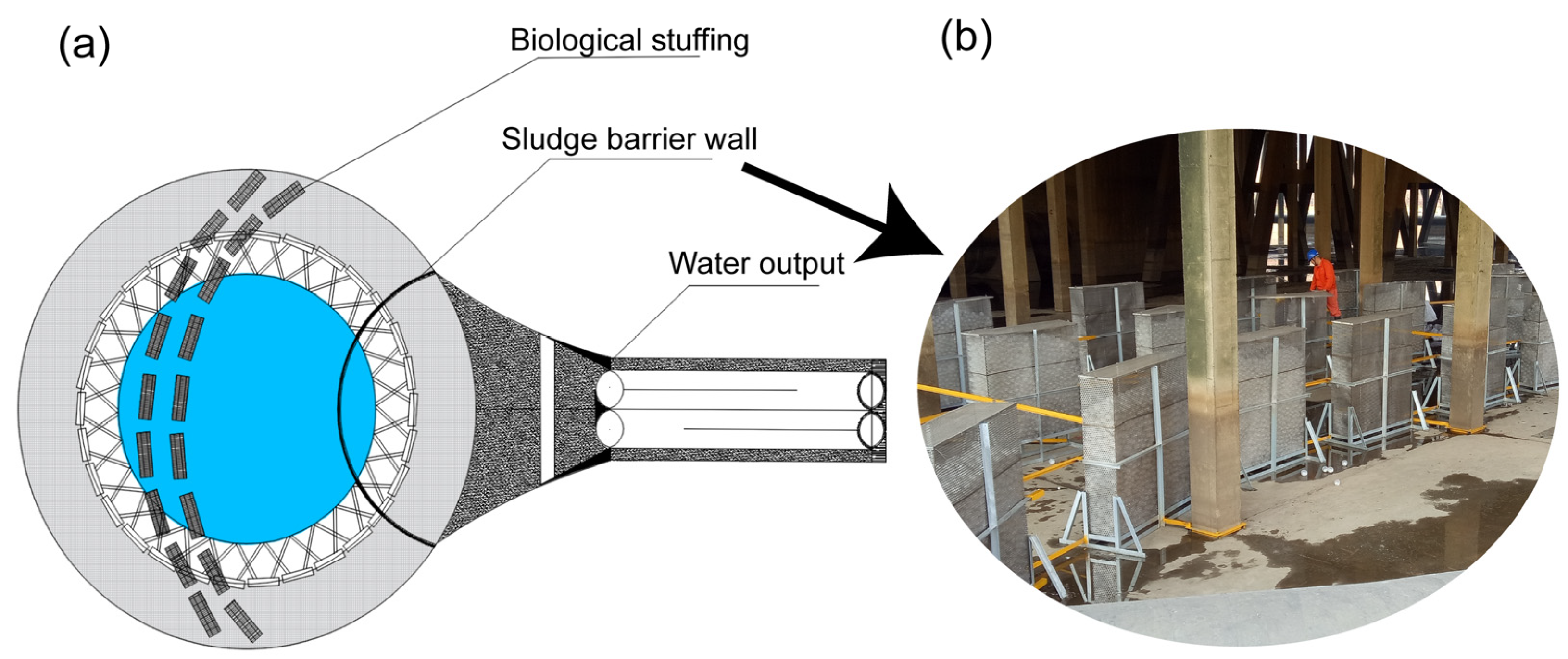 Sustainability 15 16359 g001