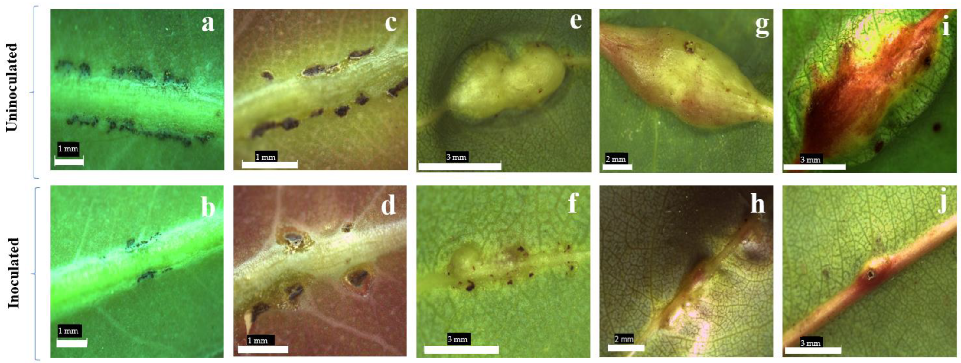 Sustainability 15 16411 g002