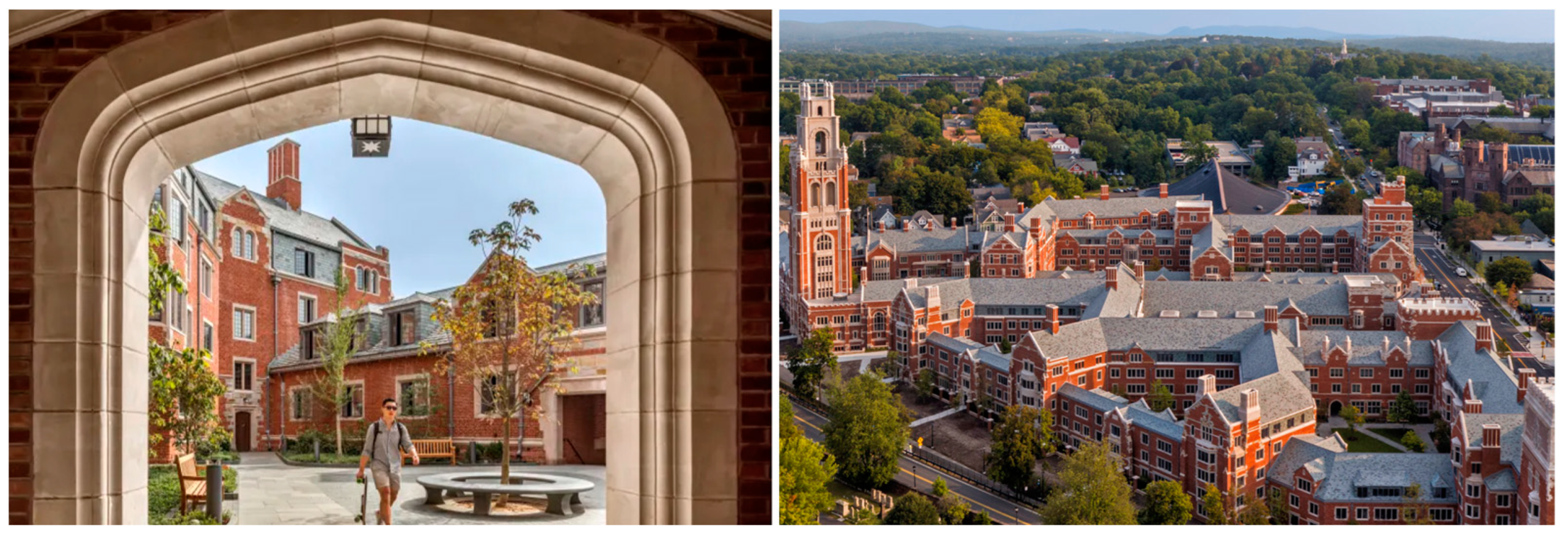 Sustainability 15 16427 g003