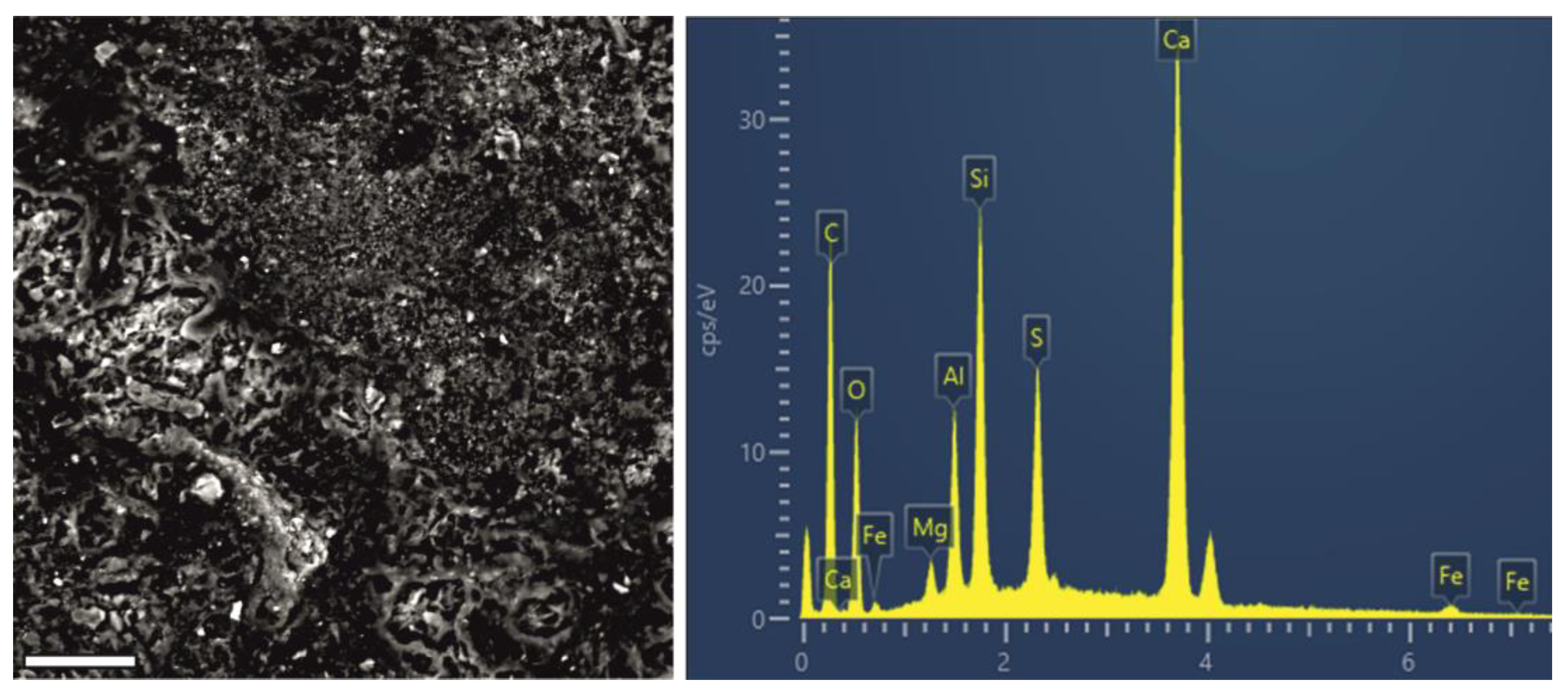 Sustainability 15 16453 g009