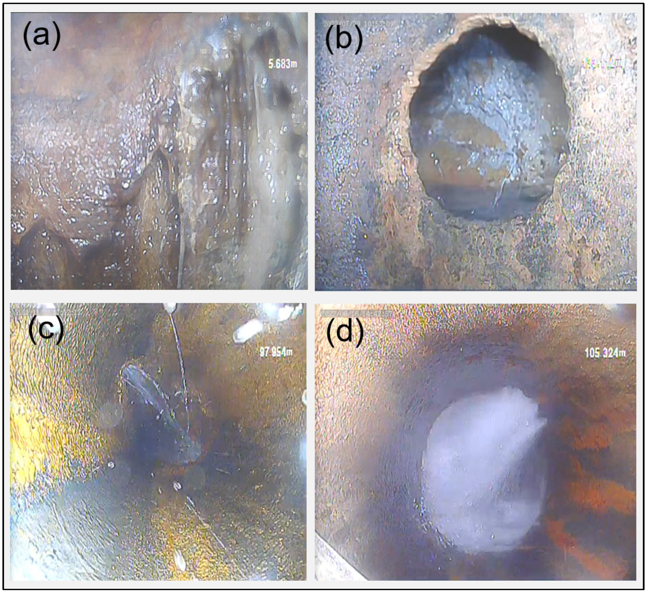Sustainability 15 16458 g005
