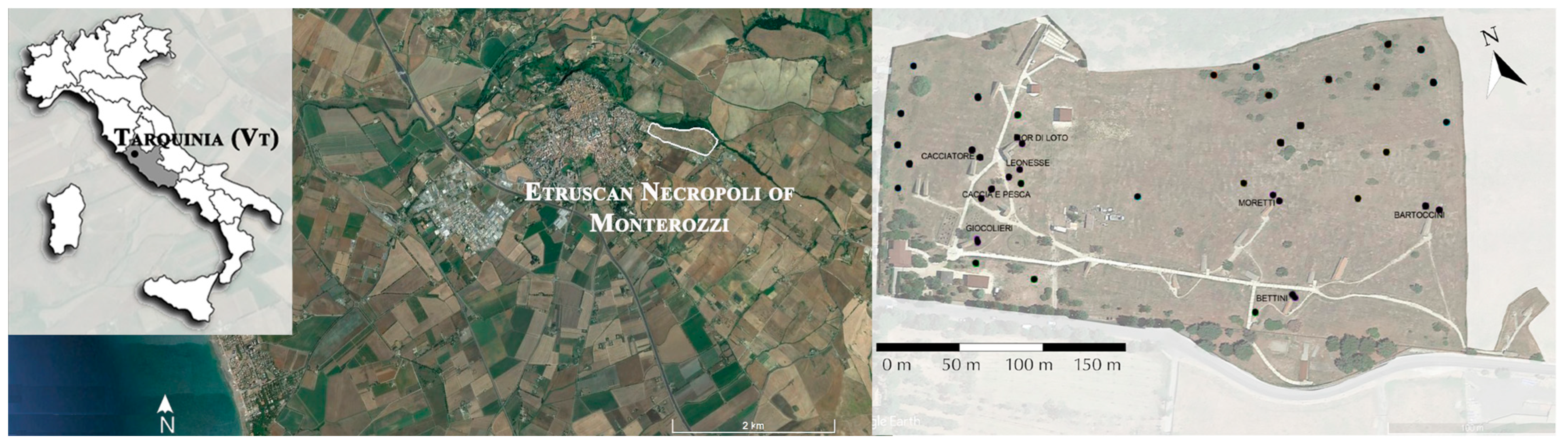 Sustainability 15 16469 g001