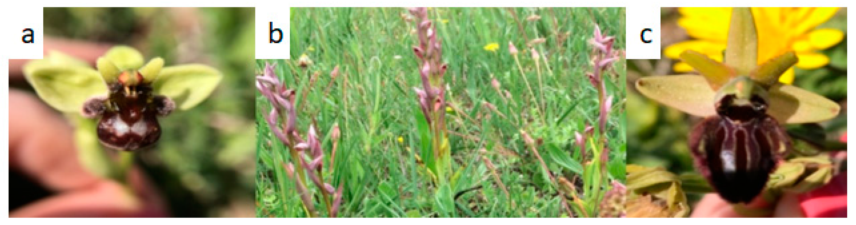 Sustainability 15 16469 g002