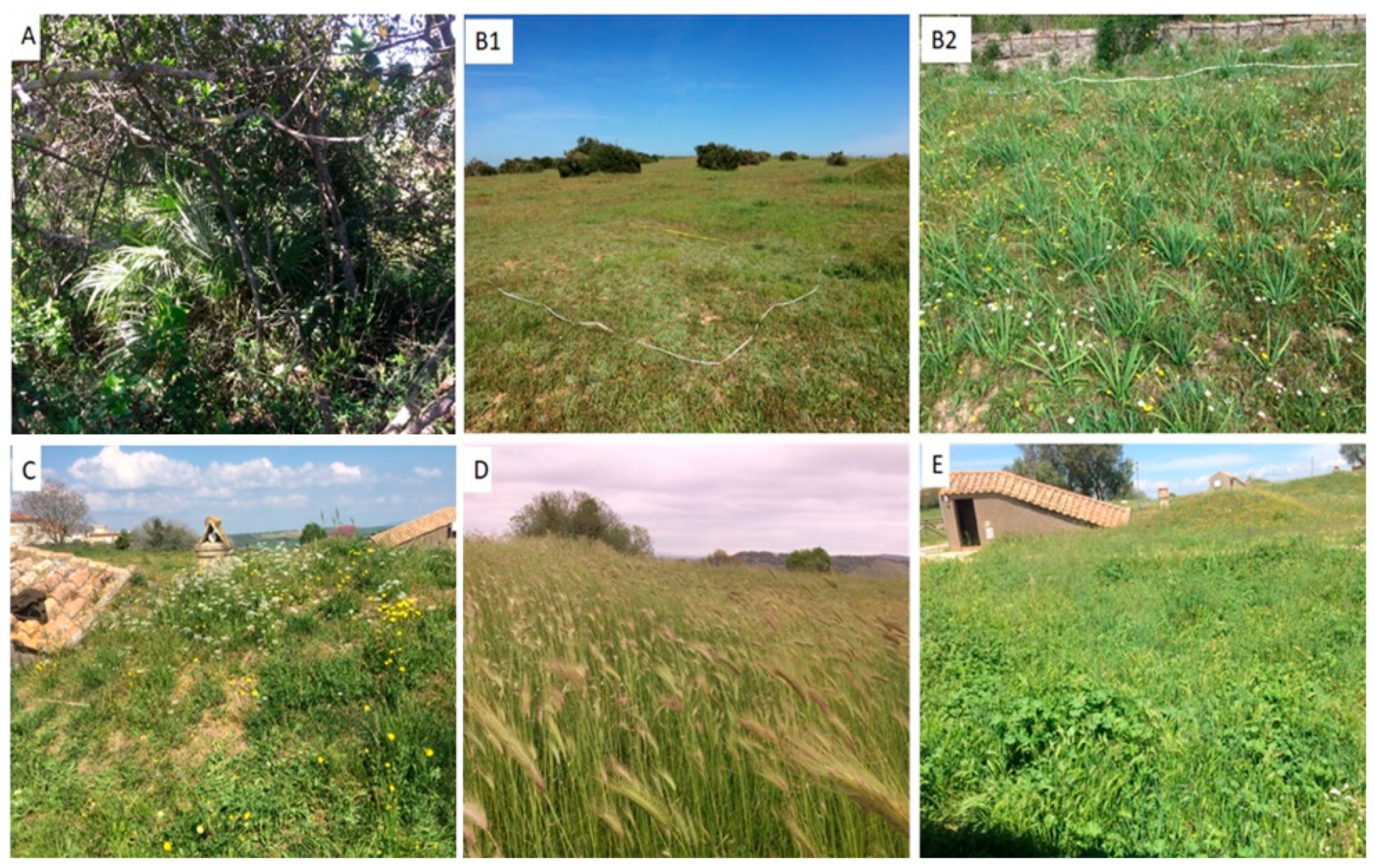 Sustainability 15 16469 g004