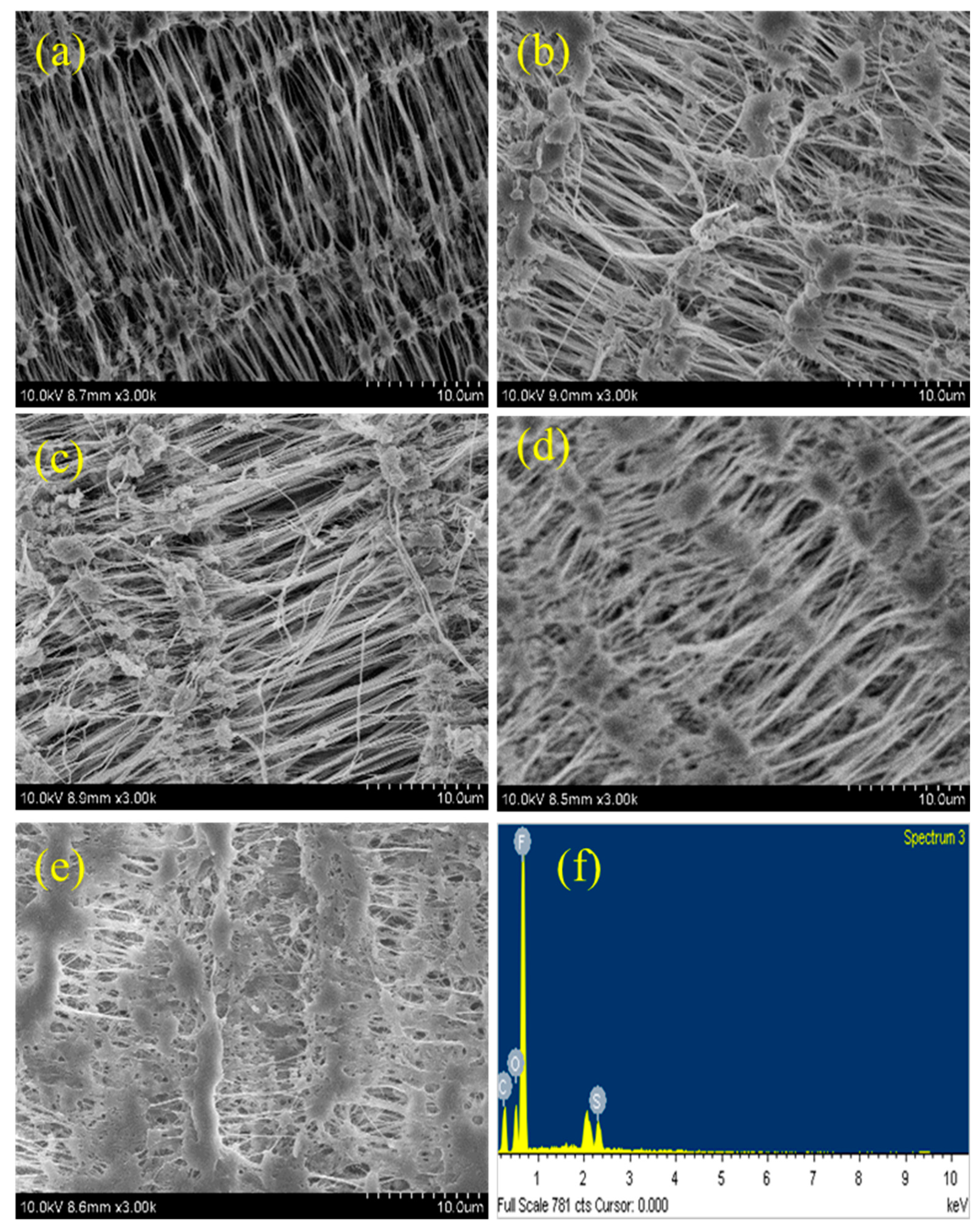 Sustainability 15 16479 g007