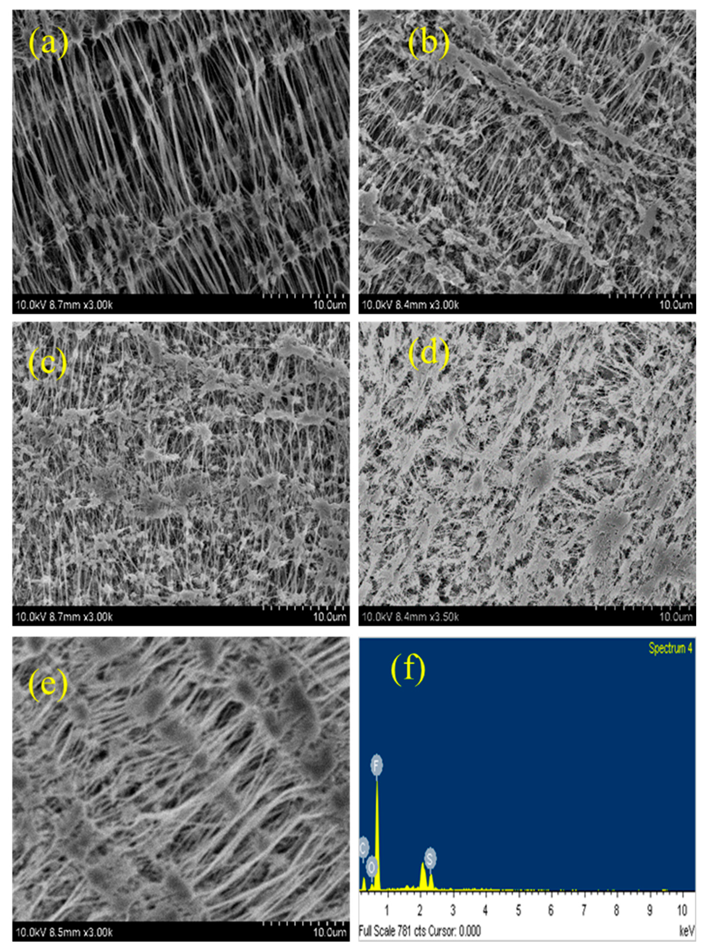 Sustainability 15 16479 g008