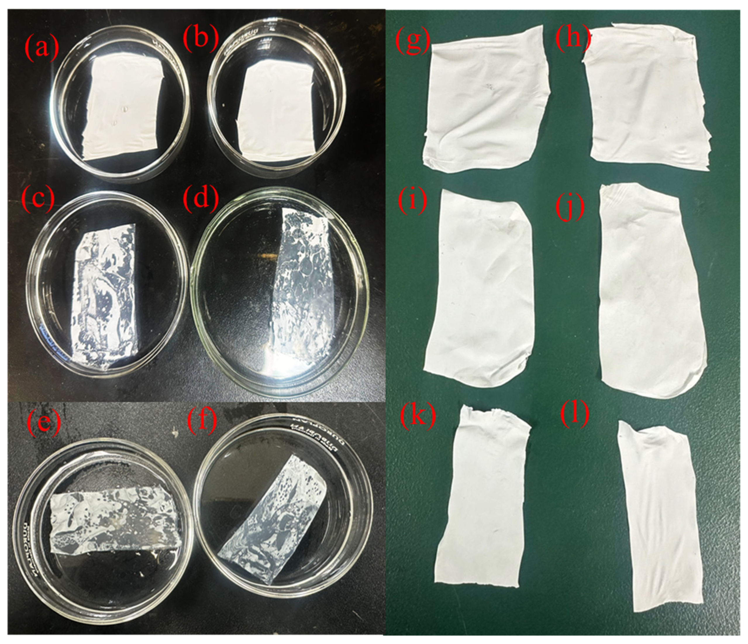 Sustainability 15 16479 g010