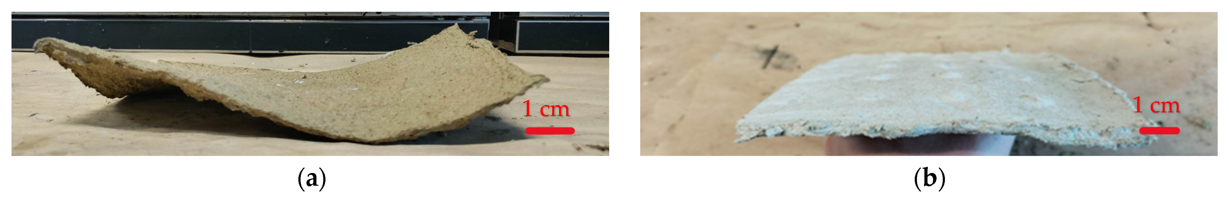 Sustainability 15 16500 g005