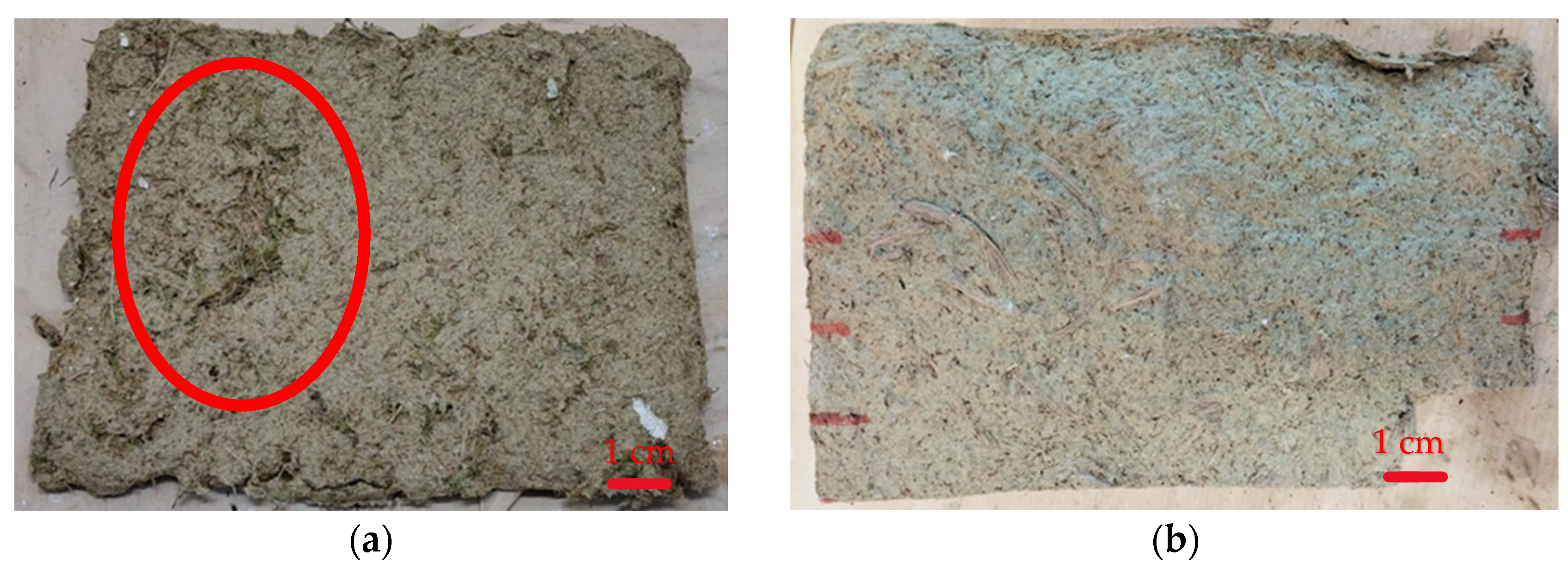 Sustainability 15 16500 g006