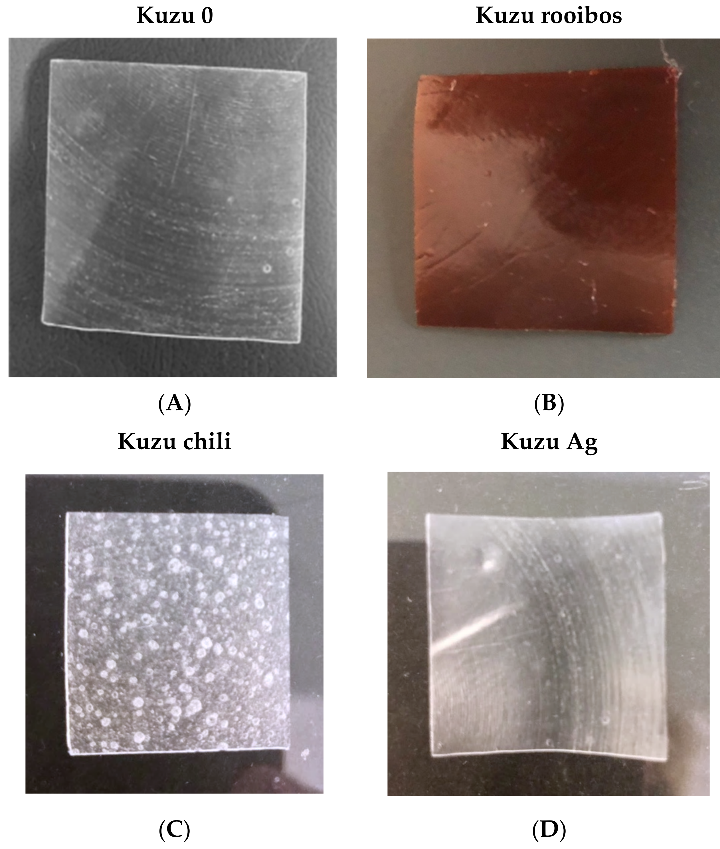 Sustainability 15 16541 g001