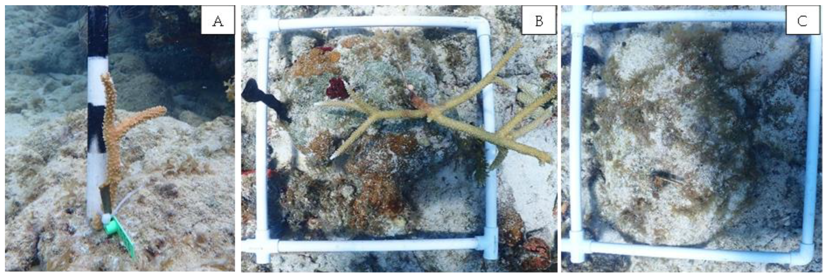 Sustainability 15 16548 g002