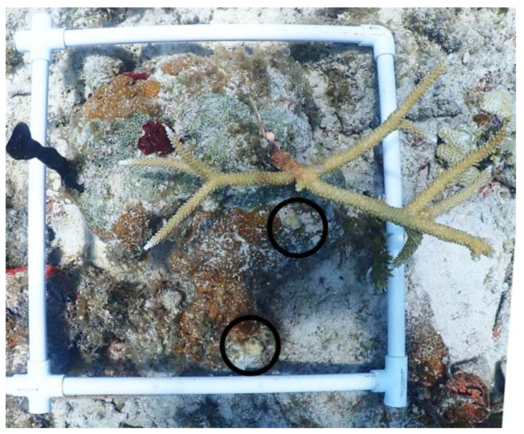 Sustainability 15 16548 g006